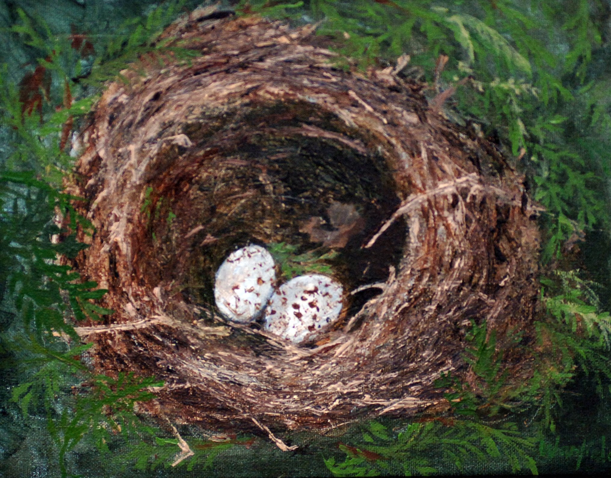  TOPIC  : TWINS:ROBIN’S NEST WITH EGGS

 

 MEDIA  : OIL

 

 SIZE  :  8 X 10”

 

 PRICE  : $1,500
