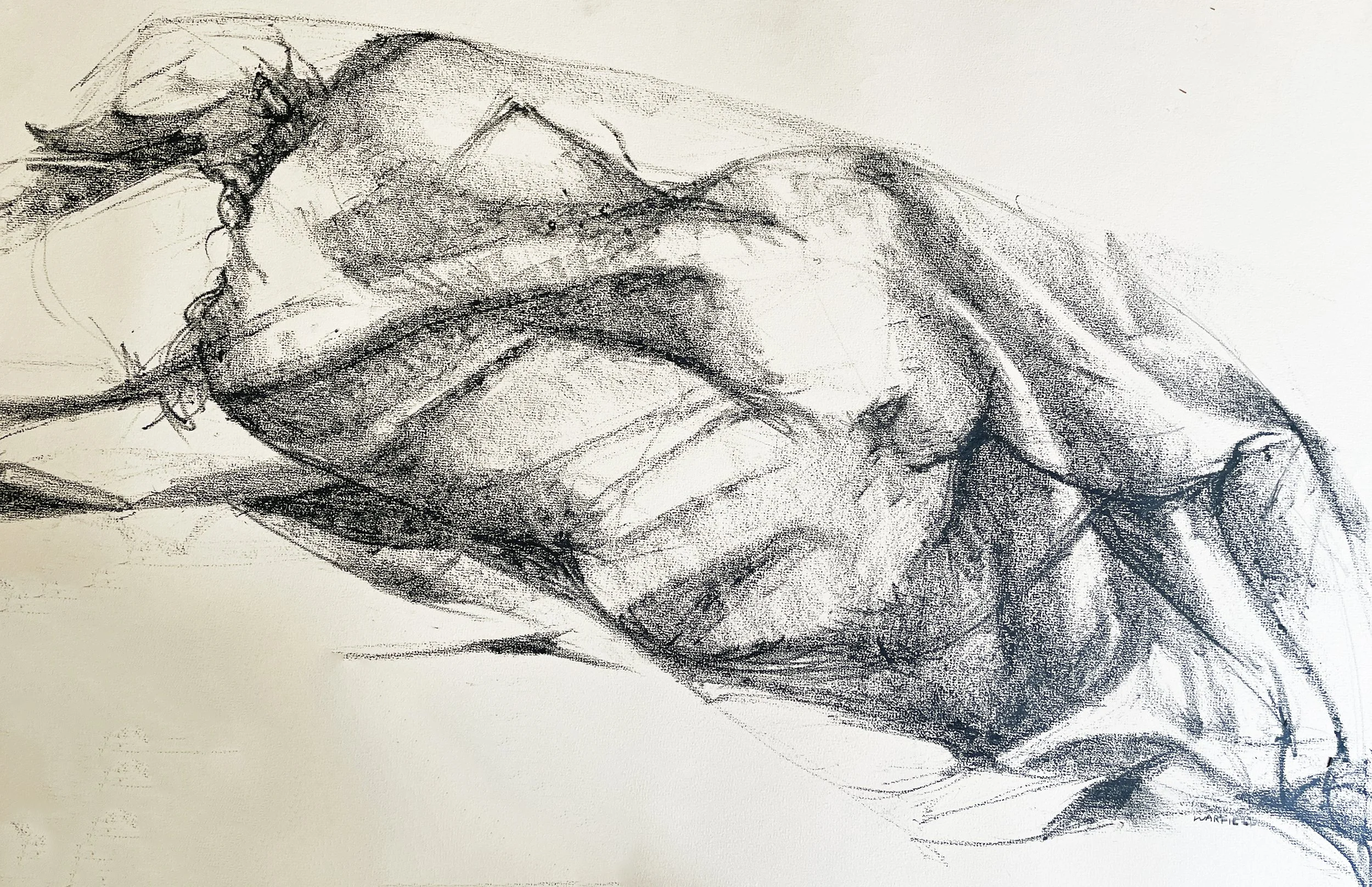  Woman Sleeping #1 
 
 MEDIA  : Charcoal
 
 PRICE  : $ 350