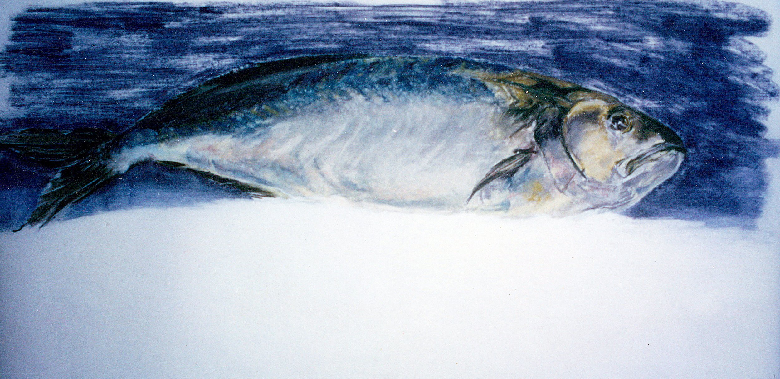  TOPIC  : Fish

 

 PAINTING  : Alex's Bluefish

 

 MEDIA  : Pastel

 

 SIZE  : 16" X 30"

 

 PRICE  : PRIVATE COLLECTION