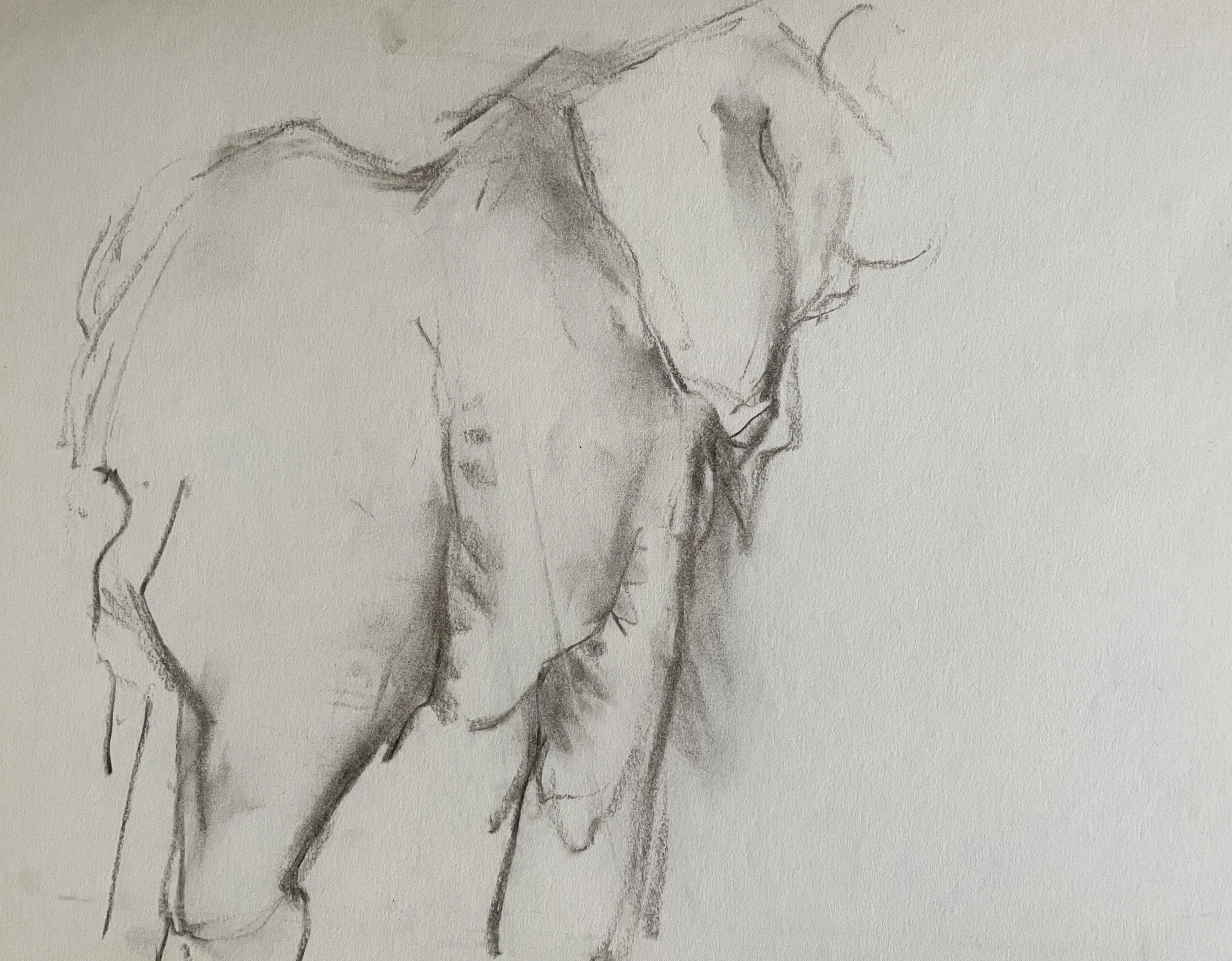  TOPIC  : Elephant

 

 PAINTING  : Elephant Study #1

 

 MEDIA  : Charcoal

 

 SIZE  : 11" X 13"

 

 PRICE  : $200