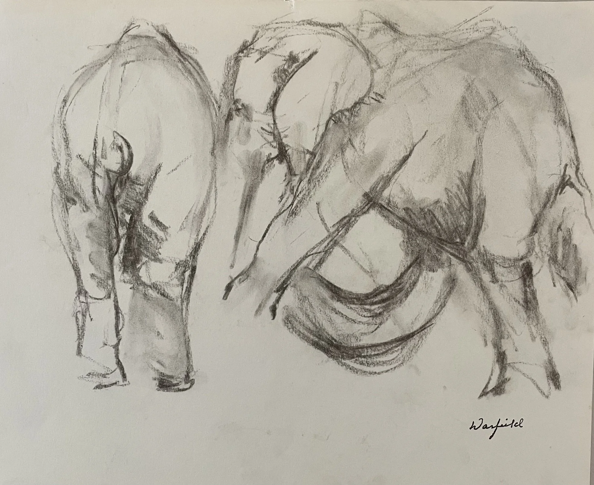  TOPIC  : Elephant

 

 PAINTING  : Elephants Study #7

 

 MEDIA  : Charcoal

 

 SIZE  : 10" X 13"

 

 PRICE  : $200