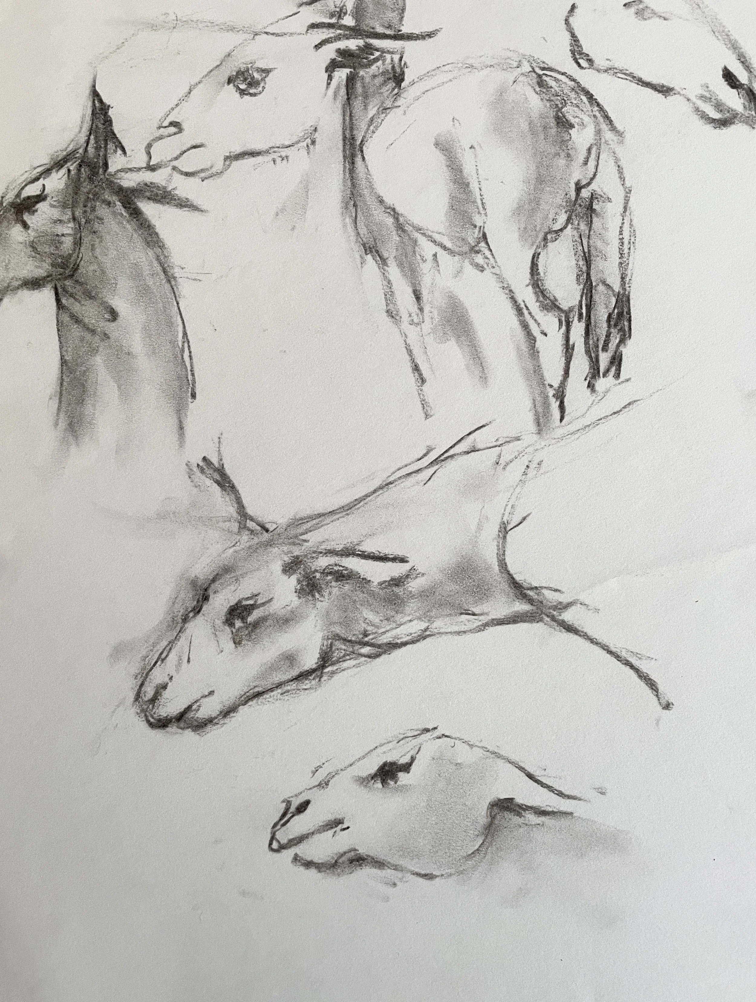  TOPIC  : Goat

 

 PAINTING  : Goat Study #4

 

 MEDIA  : Charcoal

 

 SIZE  : 14" X 11"

 

 PRICE  : $150