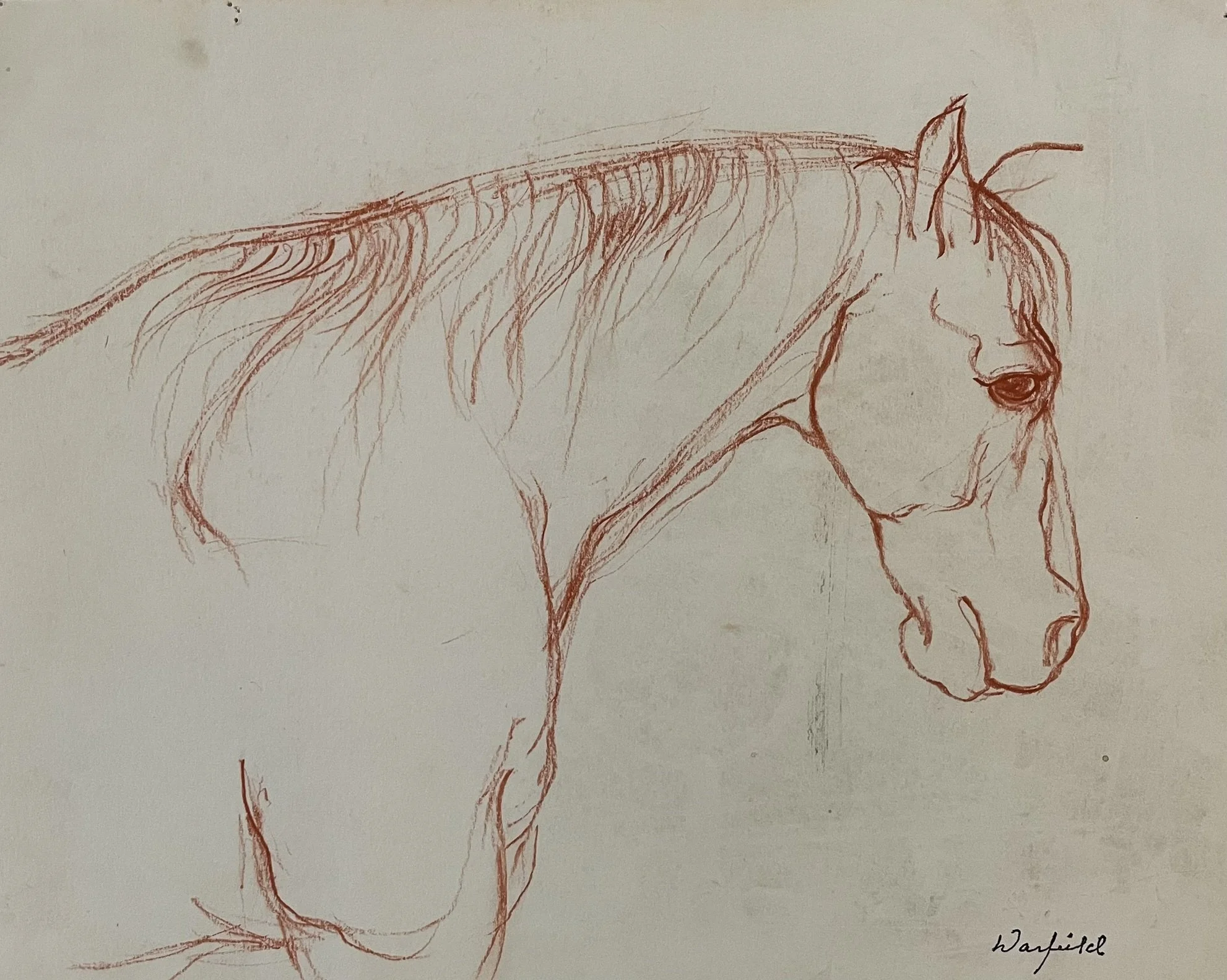  TOPIC  : Horse

 

 PAINTING  : Horse Study #5

 

 MEDIA  : Conte Crayon

 

 SIZE  : 11" X 14"

 

 PRICE  : $300