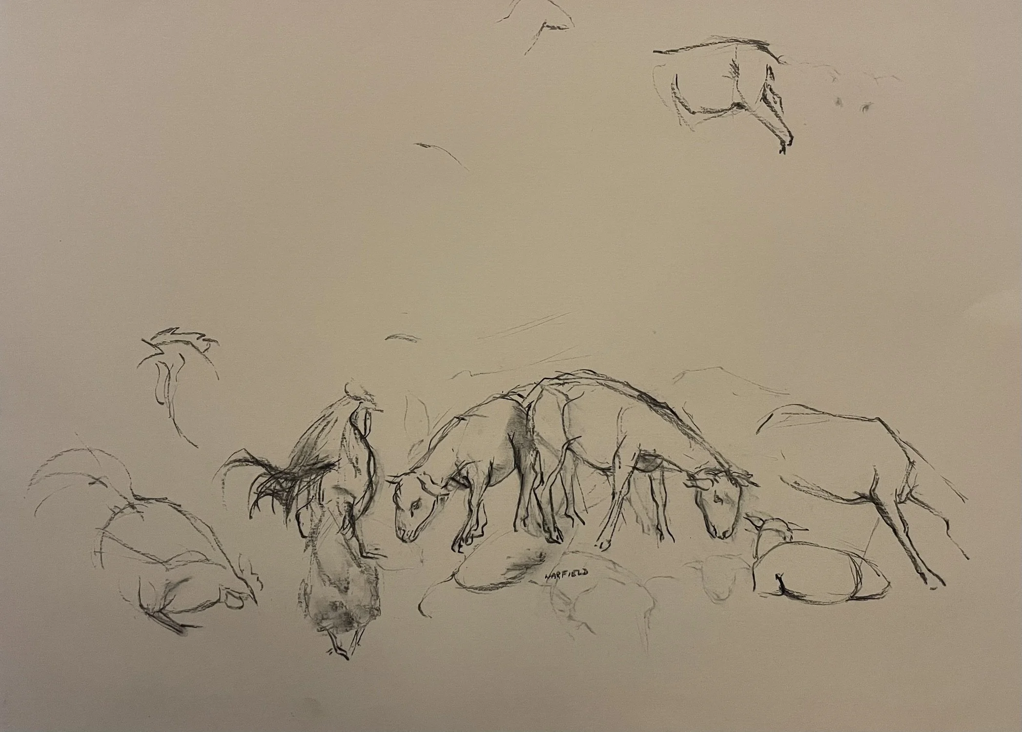  TOPIC  : Goat

 

 PAINTING  : Goat Study #1

 

 MEDIA  : Charcoal

 

 SIZE  : 22" X 30"

 

 PRICE  : $175