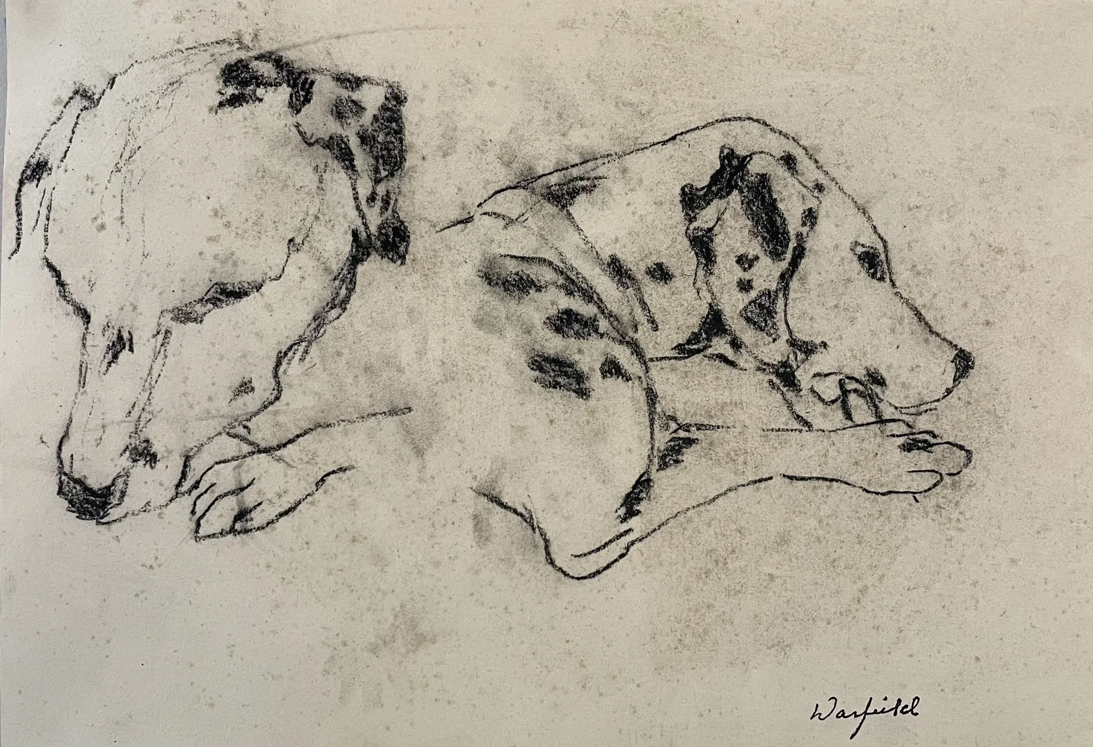  TOPIC  : Dog

 

 PAINTING  : Dalmations Resting #2

 

 MEDIA  : Charcoal

 

 SIZE  : 9" X 11"

 

 PRICE  : $225