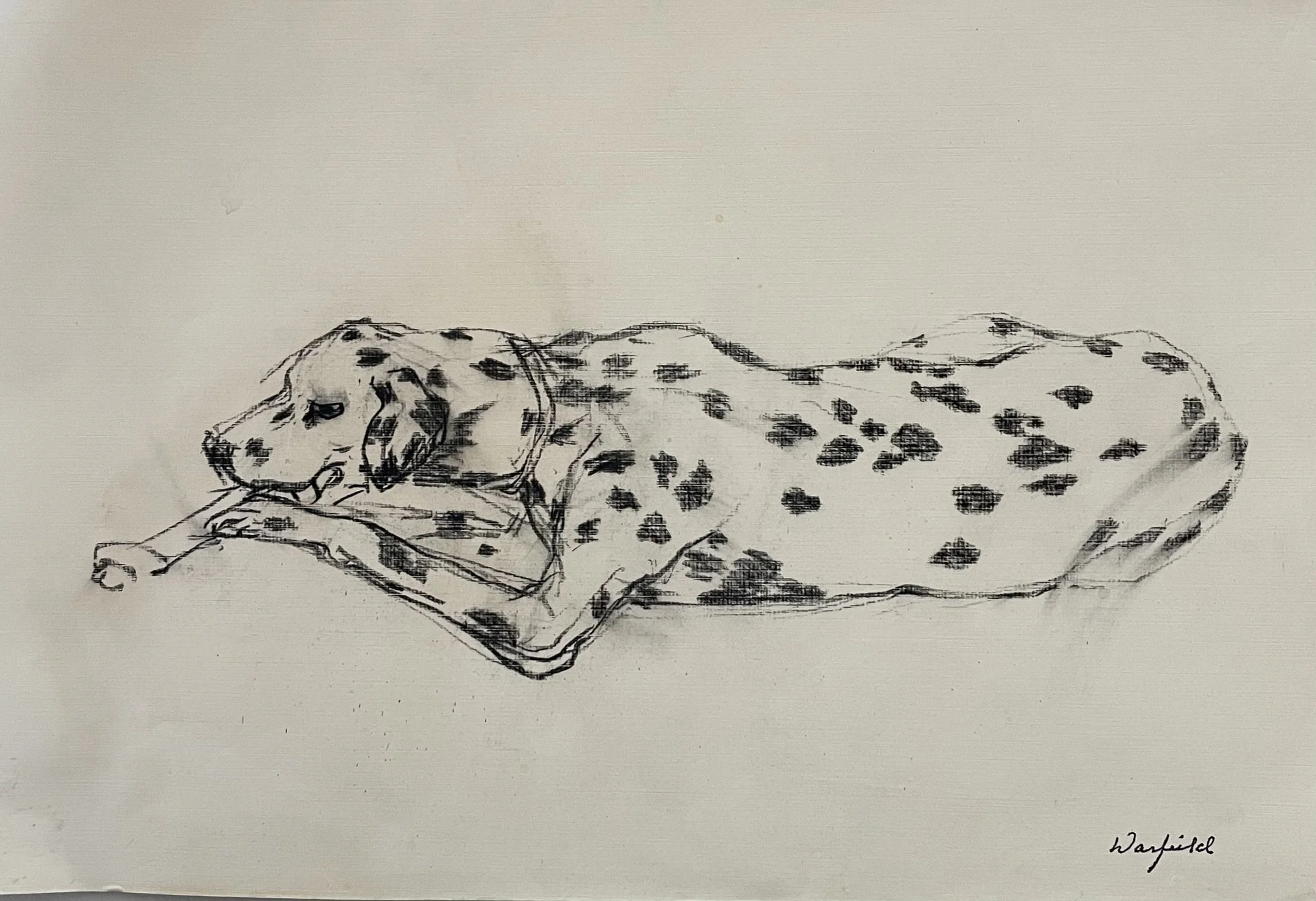  TOPIC  : Dog

 

 PAINTING  : Dalmation Sleeping

 

 MEDIA  : Charcoal

 

 SIZE  : 11" X 15"

 

 PRICE  : $200