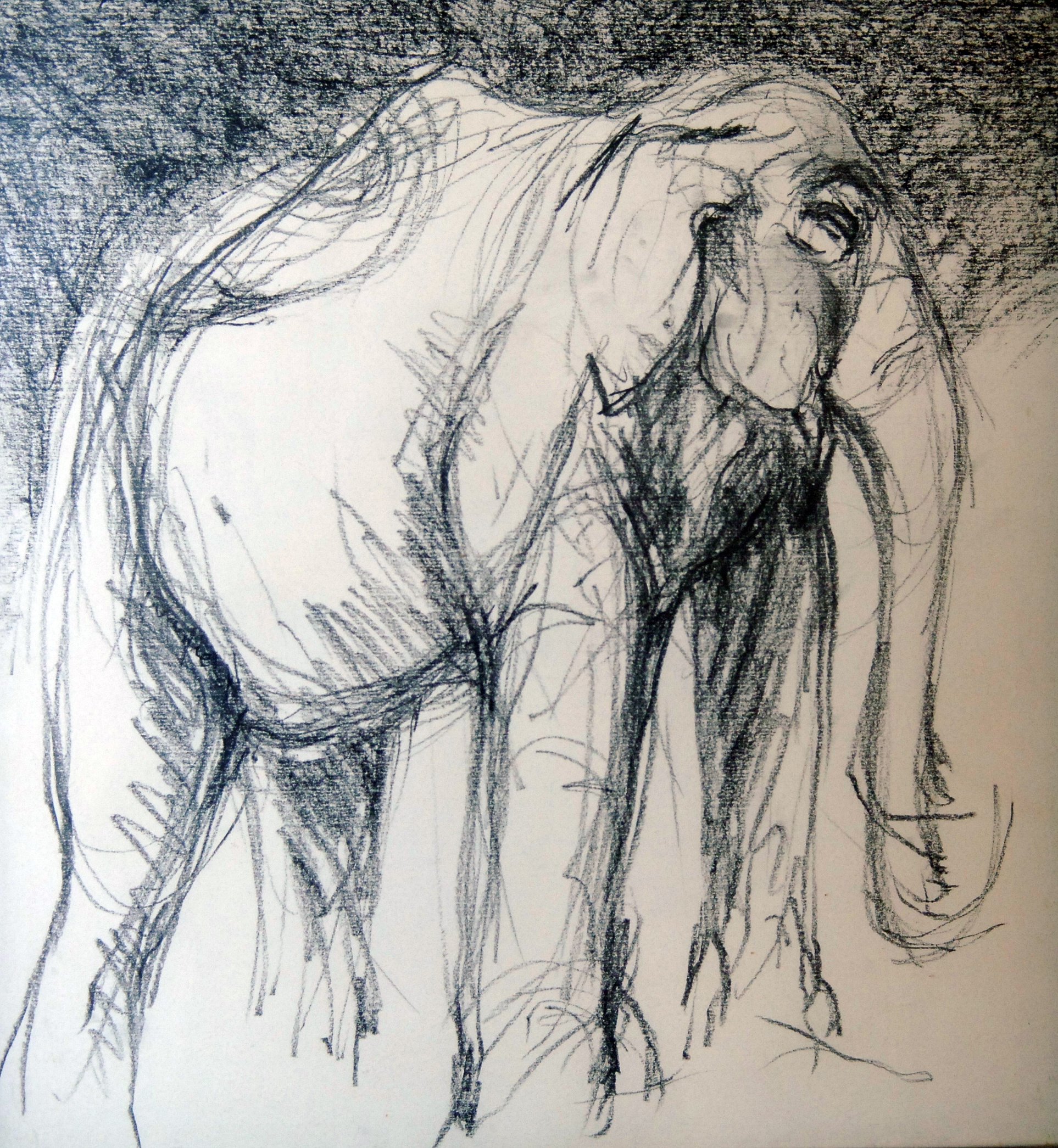  PAINTING  : Elephants On Parade (Series Of Five Drawings) #4