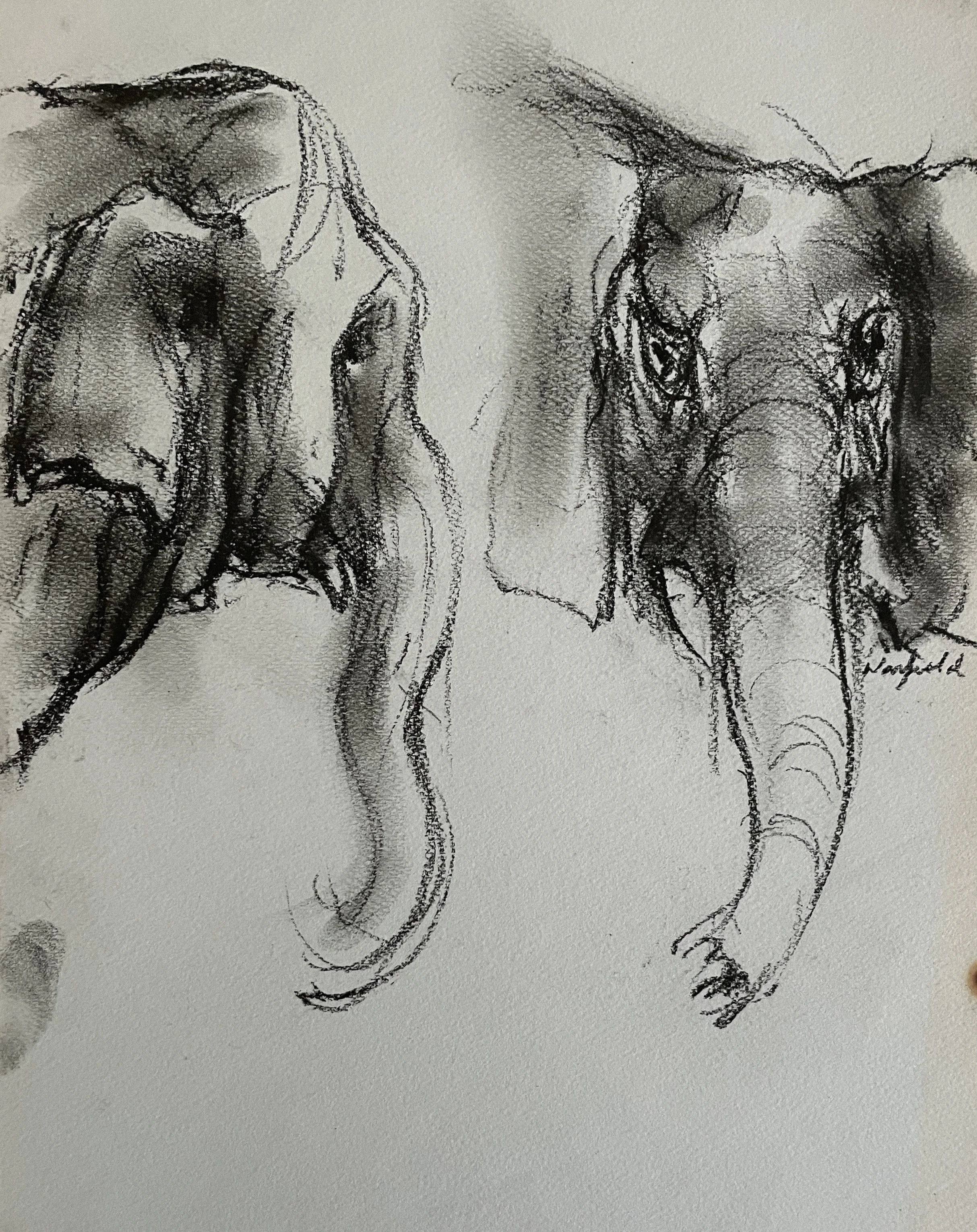  TOPIC  : Elephant

 

 PAINTING  : Elephant Study #3

 

 MEDIA  : Charcoal

 

 SIZE  : 12" X 9"

 

 PRICE  : $200