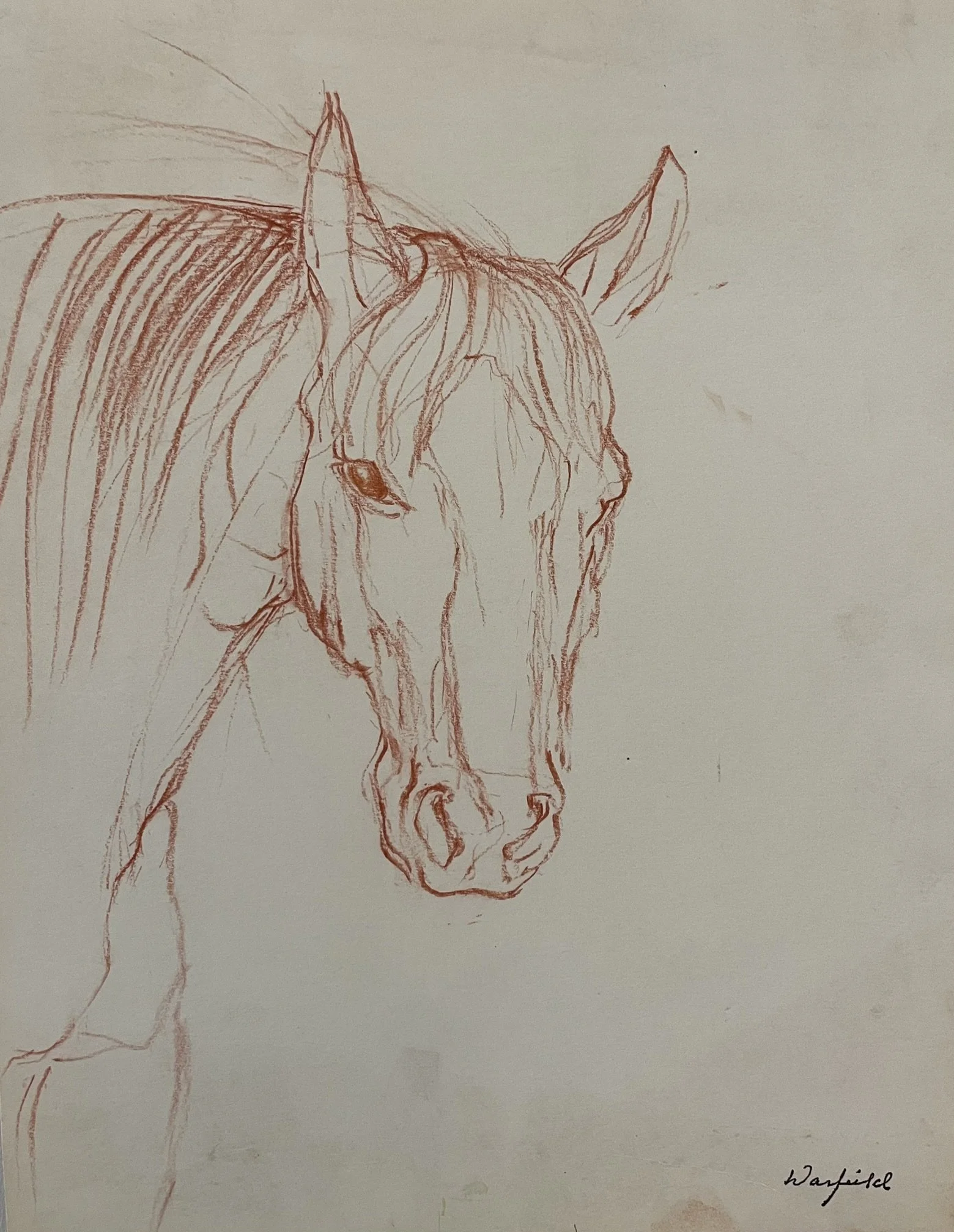  TOPIC  : Horse

 

 PAINTING  : Horse Study #4

 

 MEDIA  : Conte Crayon

 

 SIZE  : 14" X 11"

 

 PRICE  : $125