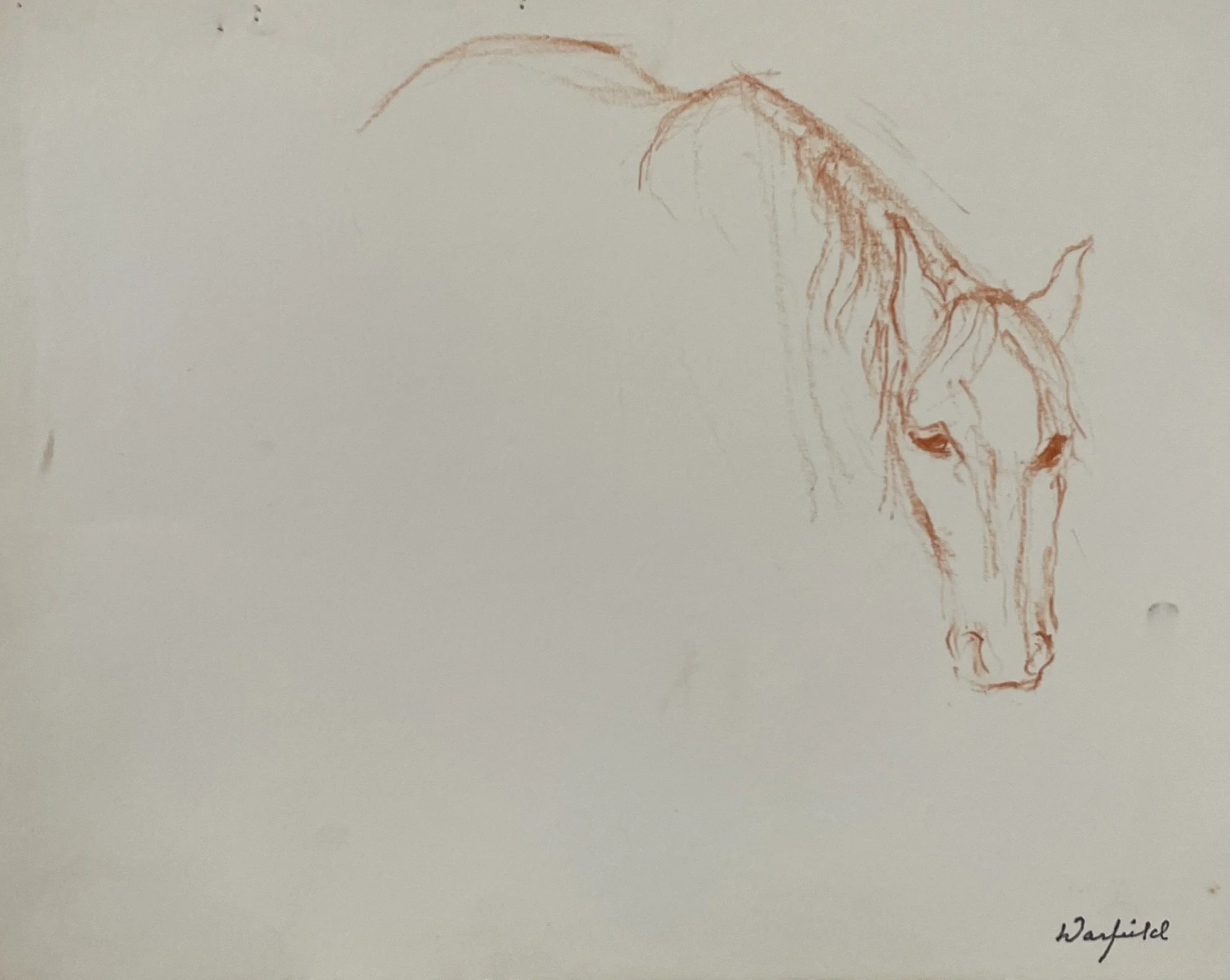  TOPIC  : Horse

 

 PAINTING  : Horse Study #2

 

 MEDIA  : Conte Crayon

 

 SIZE  : 9.5" X 11"

 

 PRICE  : $125