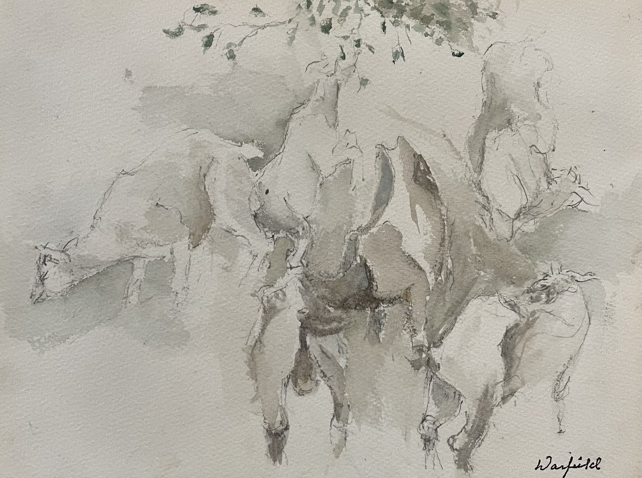  TOPIC  : Goat

 

 PAINTING  : Goats Resting

 

 MEDIA  : Watercolor

 

 SIZE  : 7" X 10"

 

 PRICE  : $200