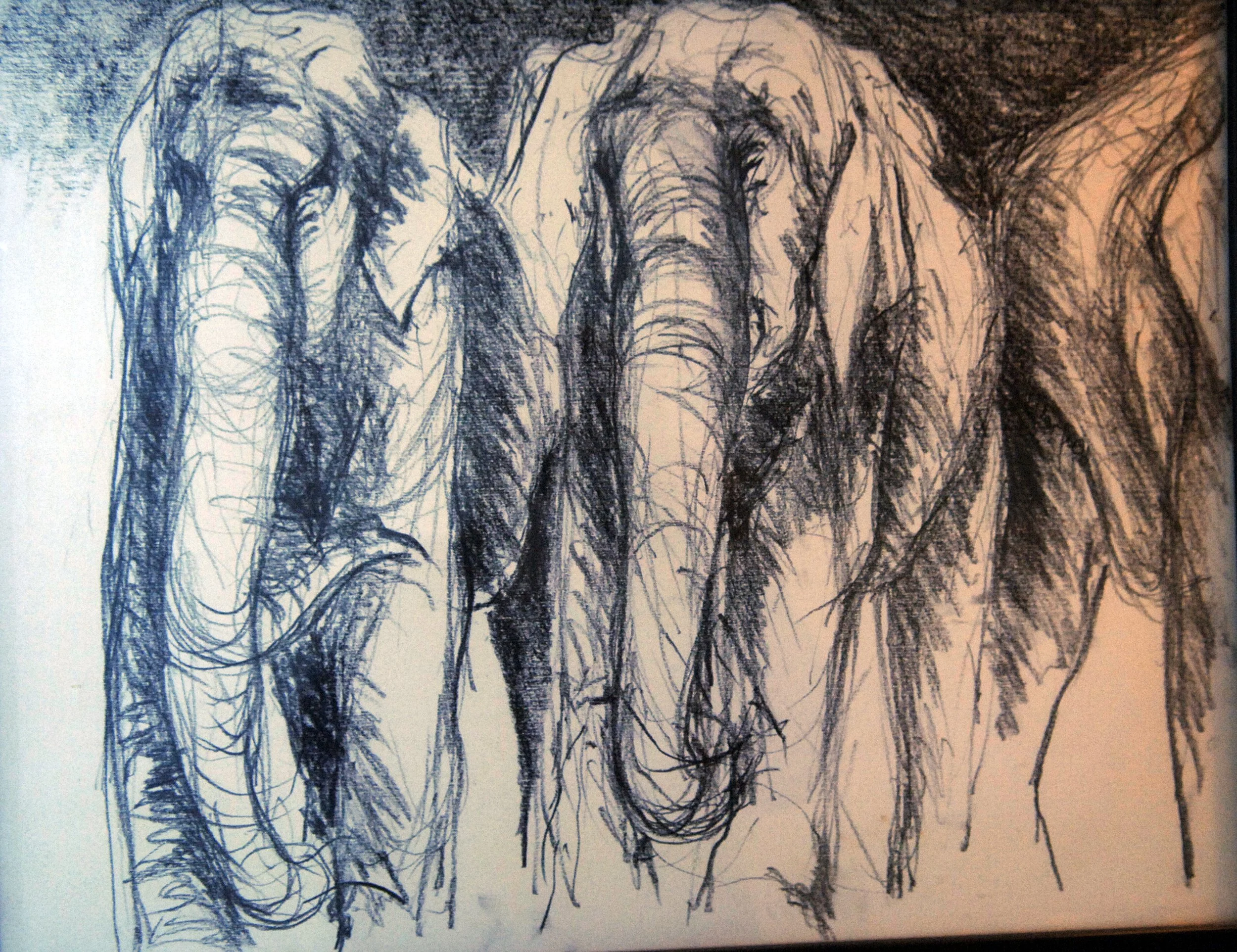 
 PAINTING  : Elephants On Parade (Series Of Five Drawings) #2