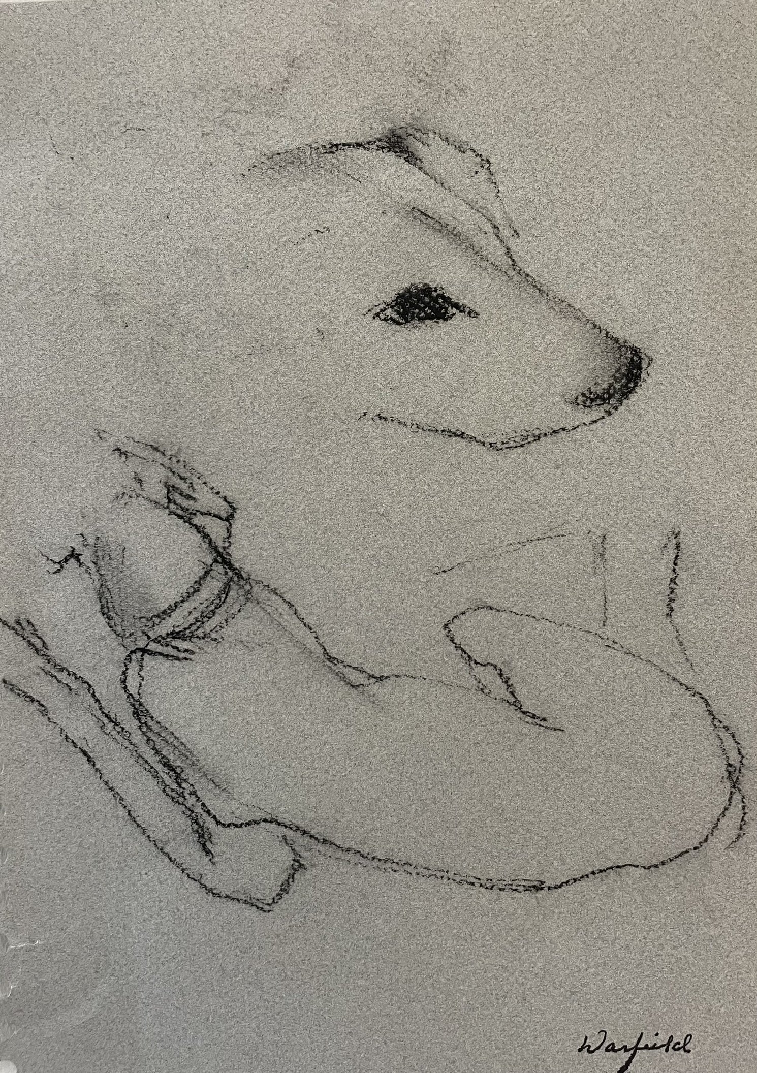  TOPIC  : Dog

 

 PAINTING  :  Dog Study

 

 MEDIA  : Charcoal

 

 SIZE  : 8" X 12"

 

 PRICE  : $175