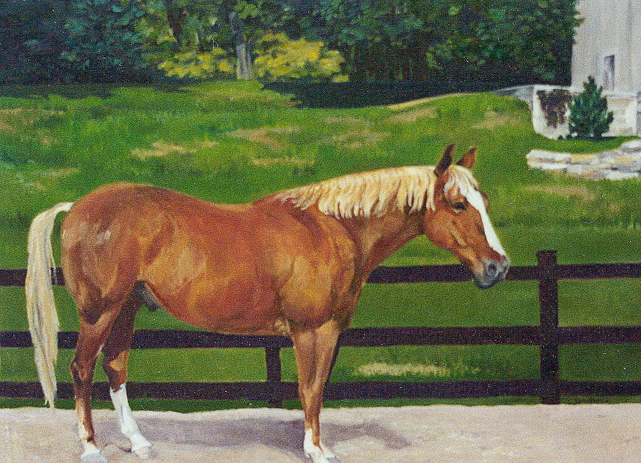  TOPIC  : Horse

 

 PAINTING  : Horse In The Paddock

 

 MEDIA  : Pastel

 

 SIZE  : 16" X 20"

 

 PRICE  : PRIVATE COLLECTION