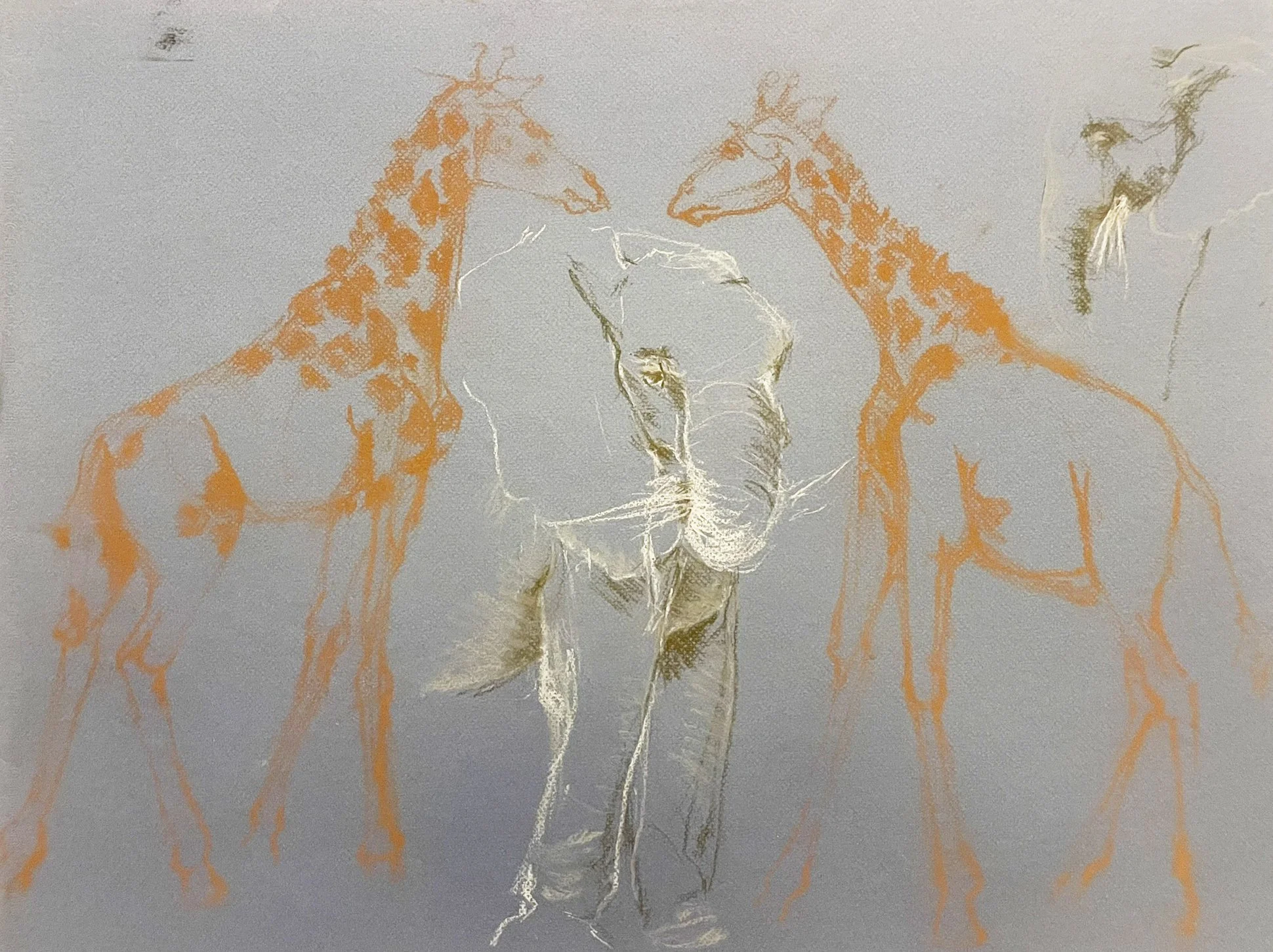  TOPIC  : Giraffes

 

 PAINTING  : Giraffes And Elephant Study

 

 MEDIA  : Pastel

 

 SIZE  : 19" X 25"

 

 PRICE  : $175