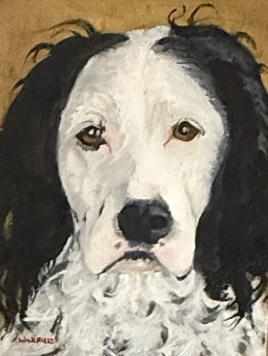  TOPIC  : Dog Portrait

 

 PAINTING  : Romeo

 

 MEDIA  : Oil

 

 SIZE  : 12" X 9"

 

 PRICE  : PRIVATE COLLECTION