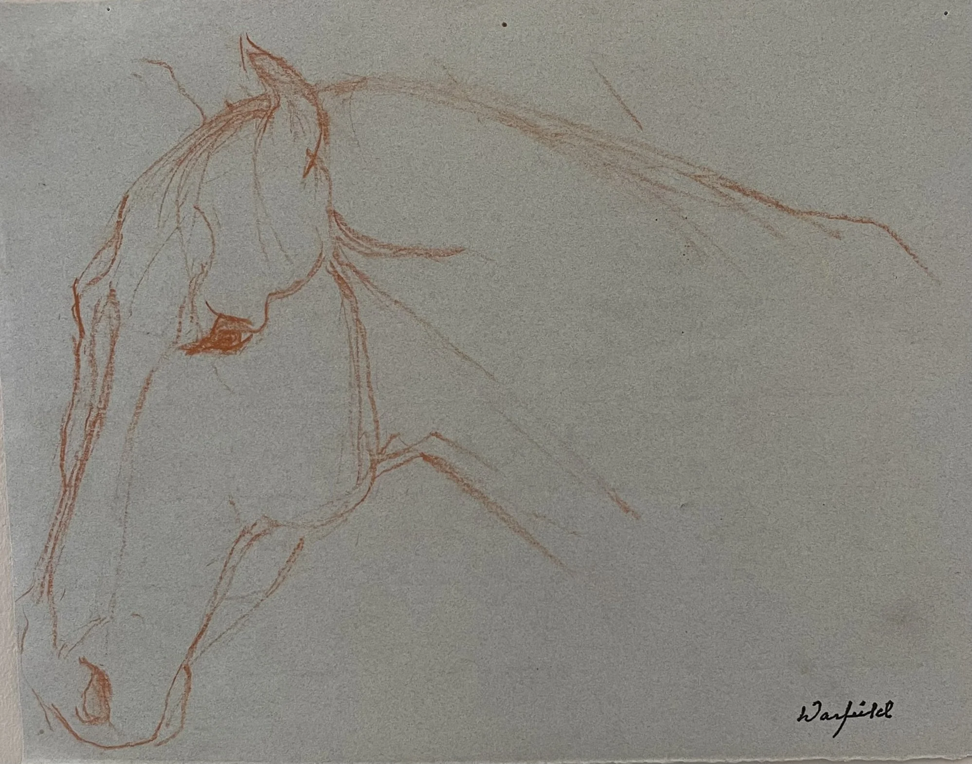  TOPIC  : Horse

 

 PAINTING  : Horse Study #1

 

 MEDIA  : Conte Crayon

 

 SIZE  : 9" X 12"

 

 PRICE  : $125