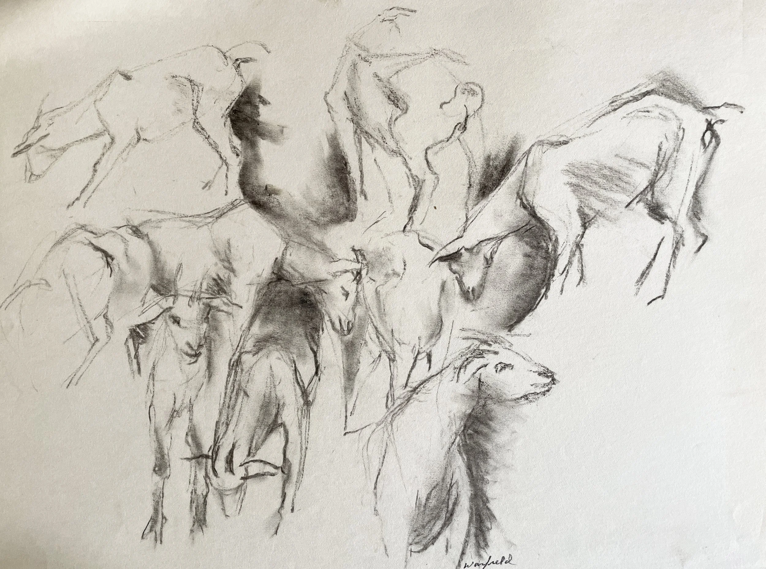  TOPIC  : Goat

 

 PAINTING  : Goat Study #3

 

 MEDIA  : Charcoal

 

 SIZE  : 18" X 24"
 

 PRICE  : $250