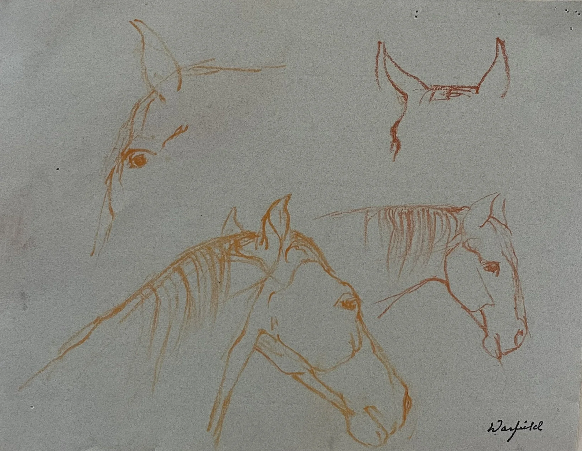  TOPIC  : Horse

 

 PAINTING  : Horse Study #3

 

 MEDIA  : Conte Crayon

 

 SIZE  : 10" X 12"

 

 PRICE  : $125