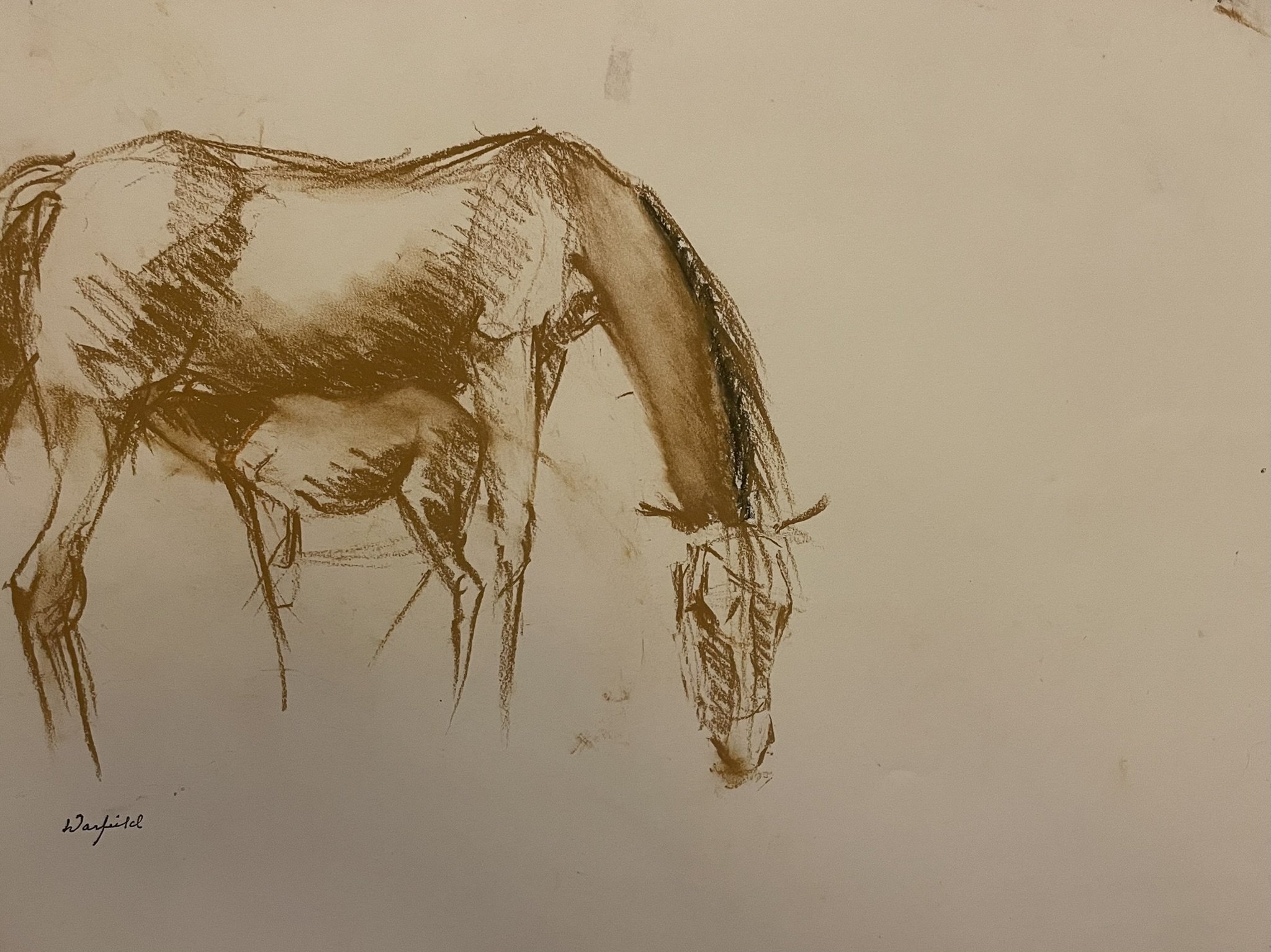  TOPIC  : Horse

 

 PAINTING  : Horse Grazing

 

 MEDIA  : Conte Crayon

 

 SIZE  : 17" X 22"

 

 PRICE  : $500