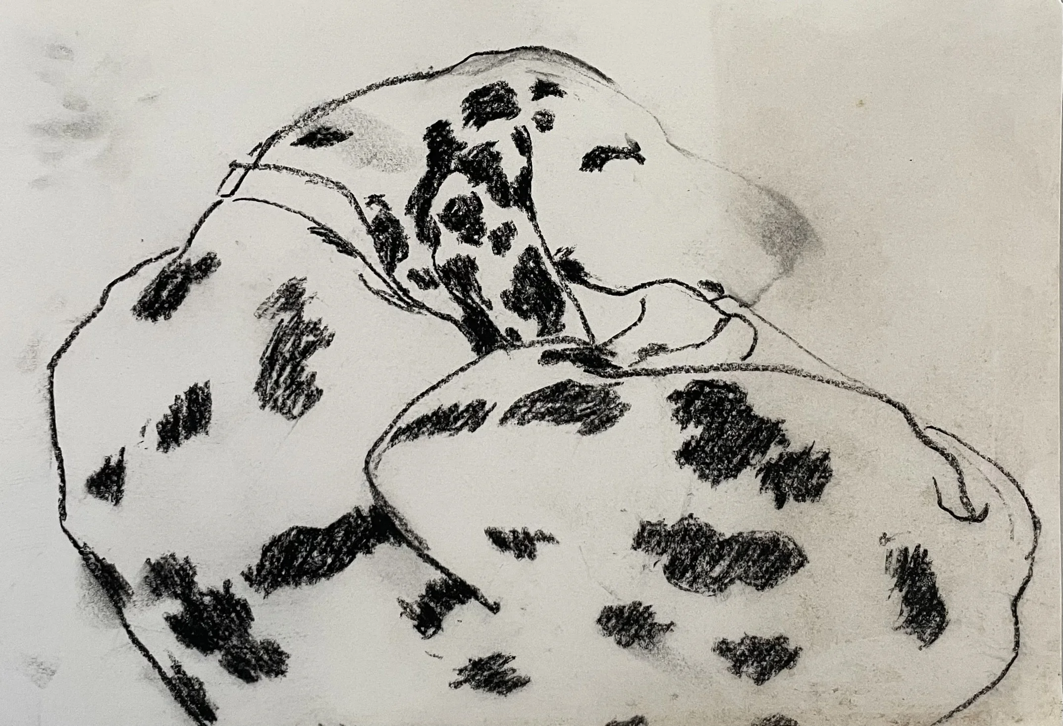  TOPIC  : Dog

 

 PAINTING  : Dalmation Curled up

 

 MEDIA  : Charcoal

 

 SIZE  : 8" X 12"

 

 PRICE  : $200