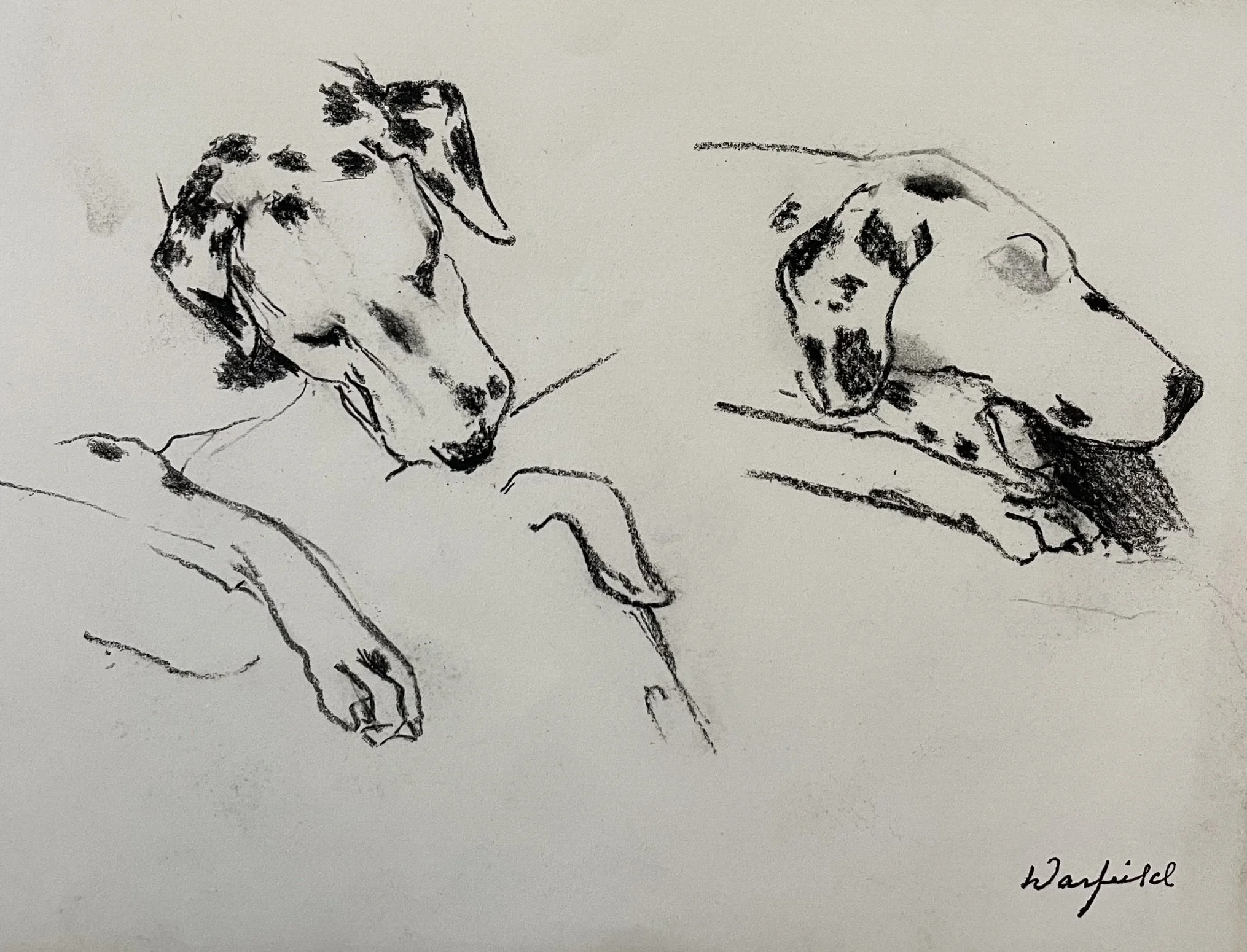  TOPIC  : Dog

 

 PAINTING  : Dalmation Heads

 

 MEDIA  : Charcoal

 

 SIZE  : 9" X 11"

 

 PRICE  : $225