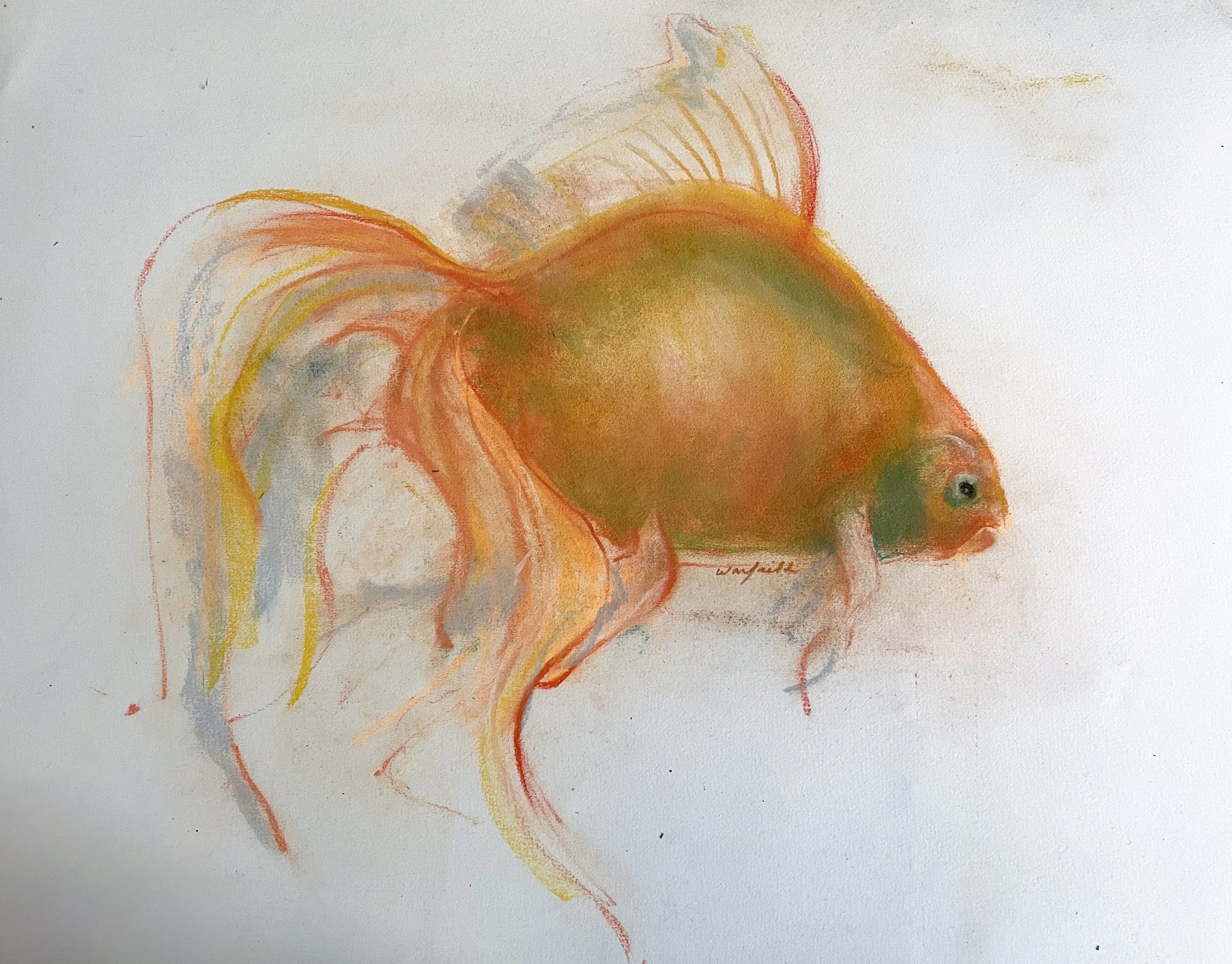  TOPIC  : Fish

 

 PAINTING  : Goldfish Single

 

 MEDIA  : Pastel

 

 SIZE  : 21" X 24"

 

 PRICE  : $450