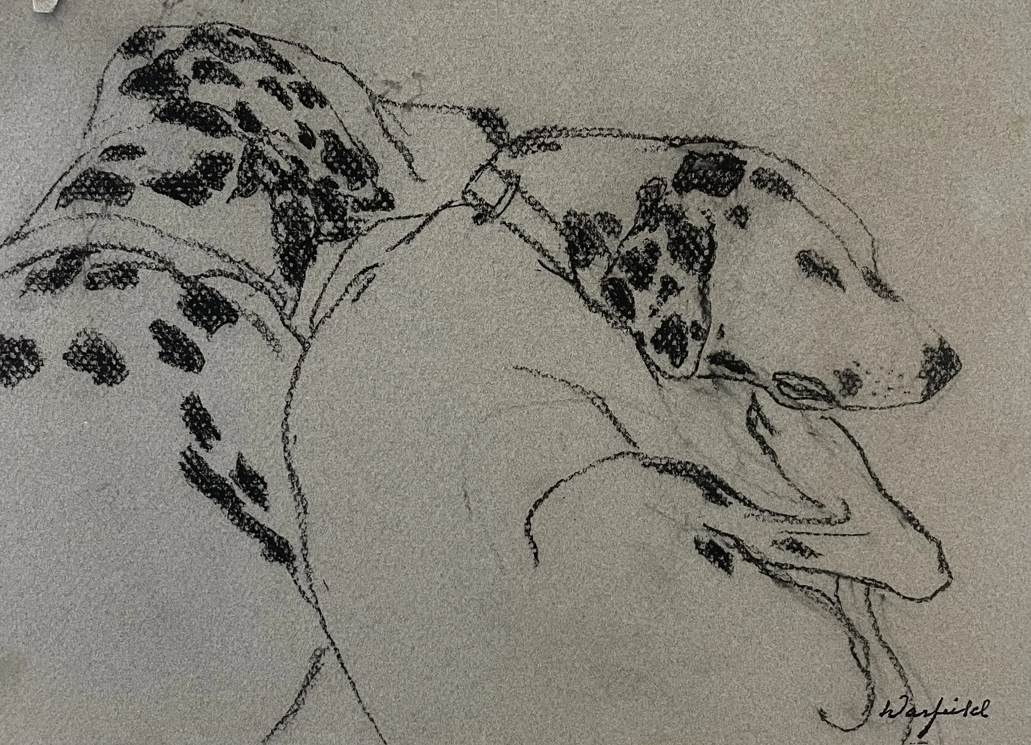  TOPIC  : Dog

 

 PAINTING  : Dalmations Resting

 

 MEDIA  : Charcoal

 

 SIZE  : 8" X 12"

 

 PRICE  : $225