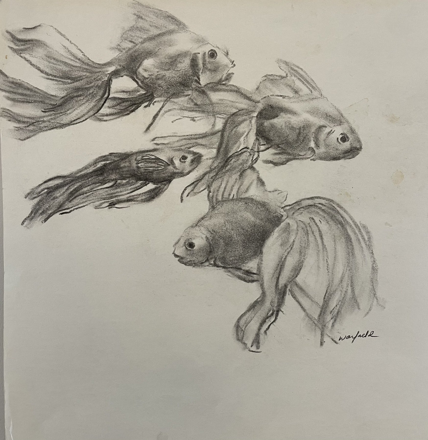  TOPIC  : Fish

 

 PAINTING  : Four Goldfish

 

 MEDIA  : Charcoal

 

 SIZE  : 17" X 16"

 

 PRICE  : $250