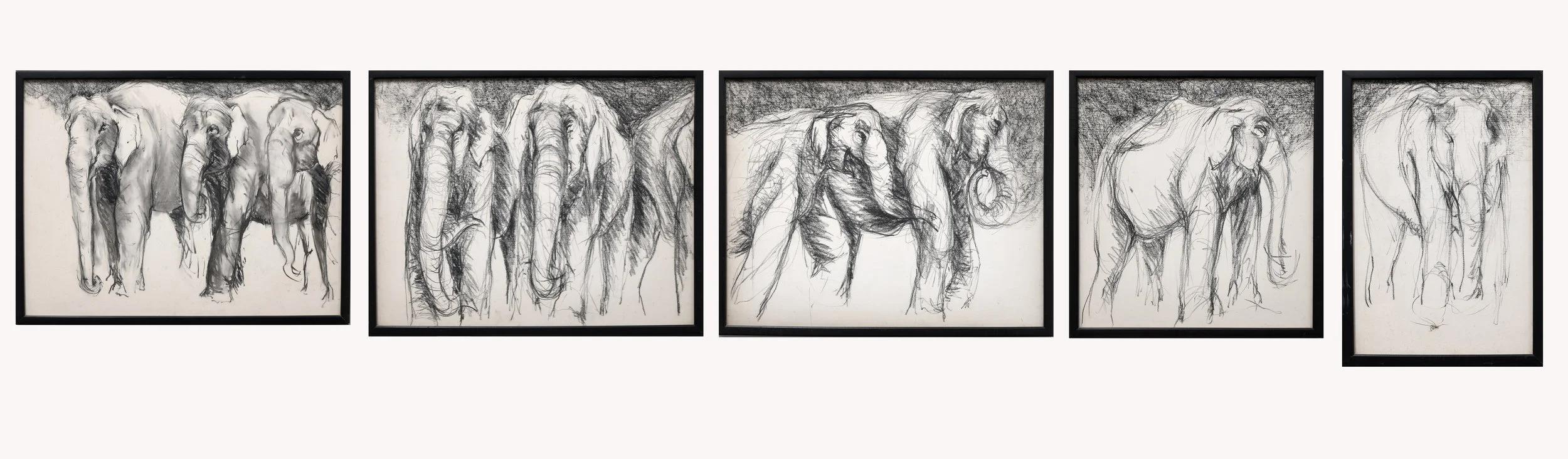  TOPIC  : Elephant

 

 PAINTING  : Elephants on Parade 

 

 MEDIA  : Suite of five charcoal drawings

 

 SIZE  : 18” H x 103” L

 

 PRICE  : $2,500 