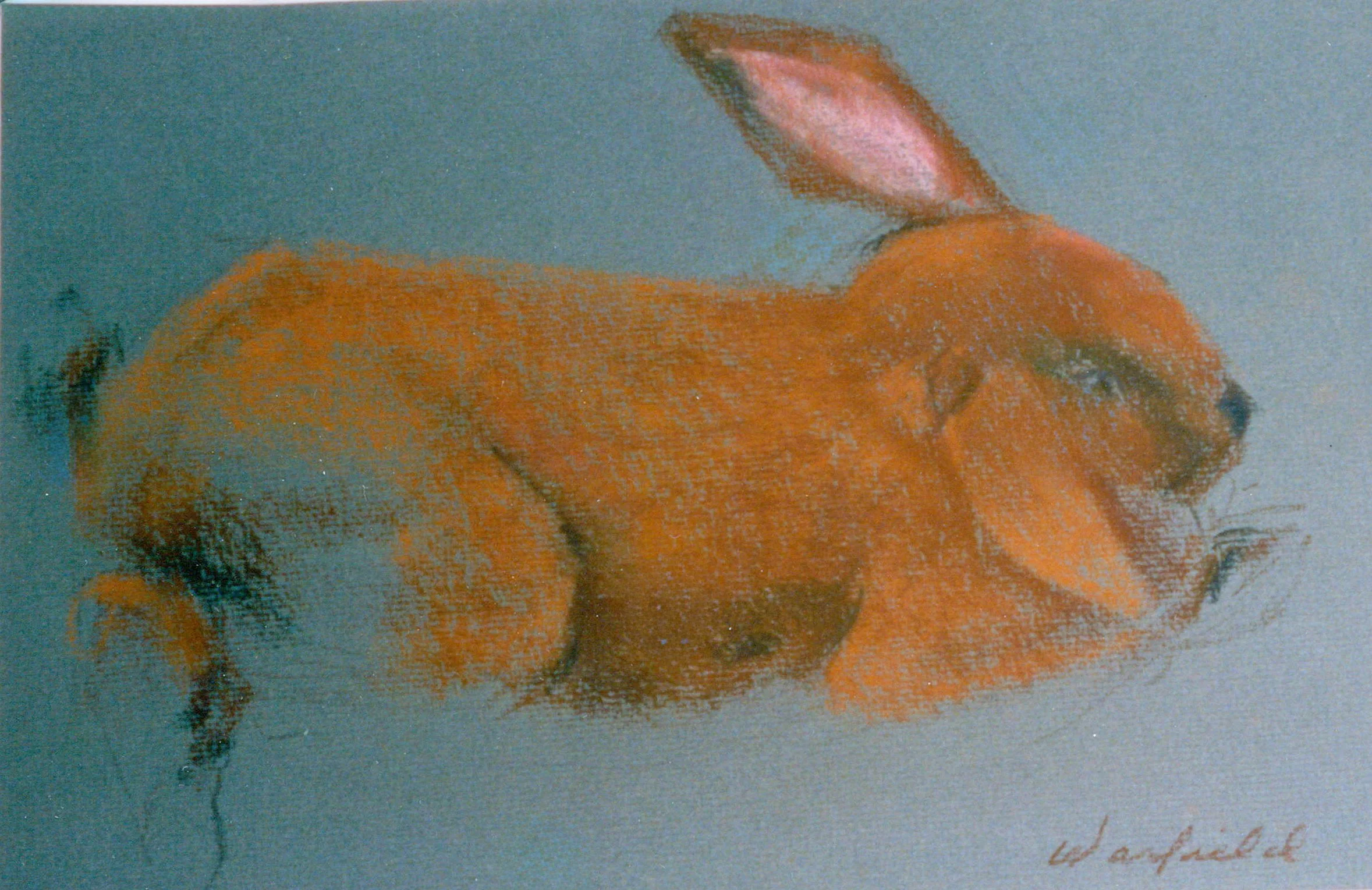  TOPIC  : Bunny

 

 PAINTING  : Bunny Study #1

 

 MEDIA  : Pastel

 

 SIZE  : 6" X 8"

 

 PRICE  : PRIVATE COLLECTION