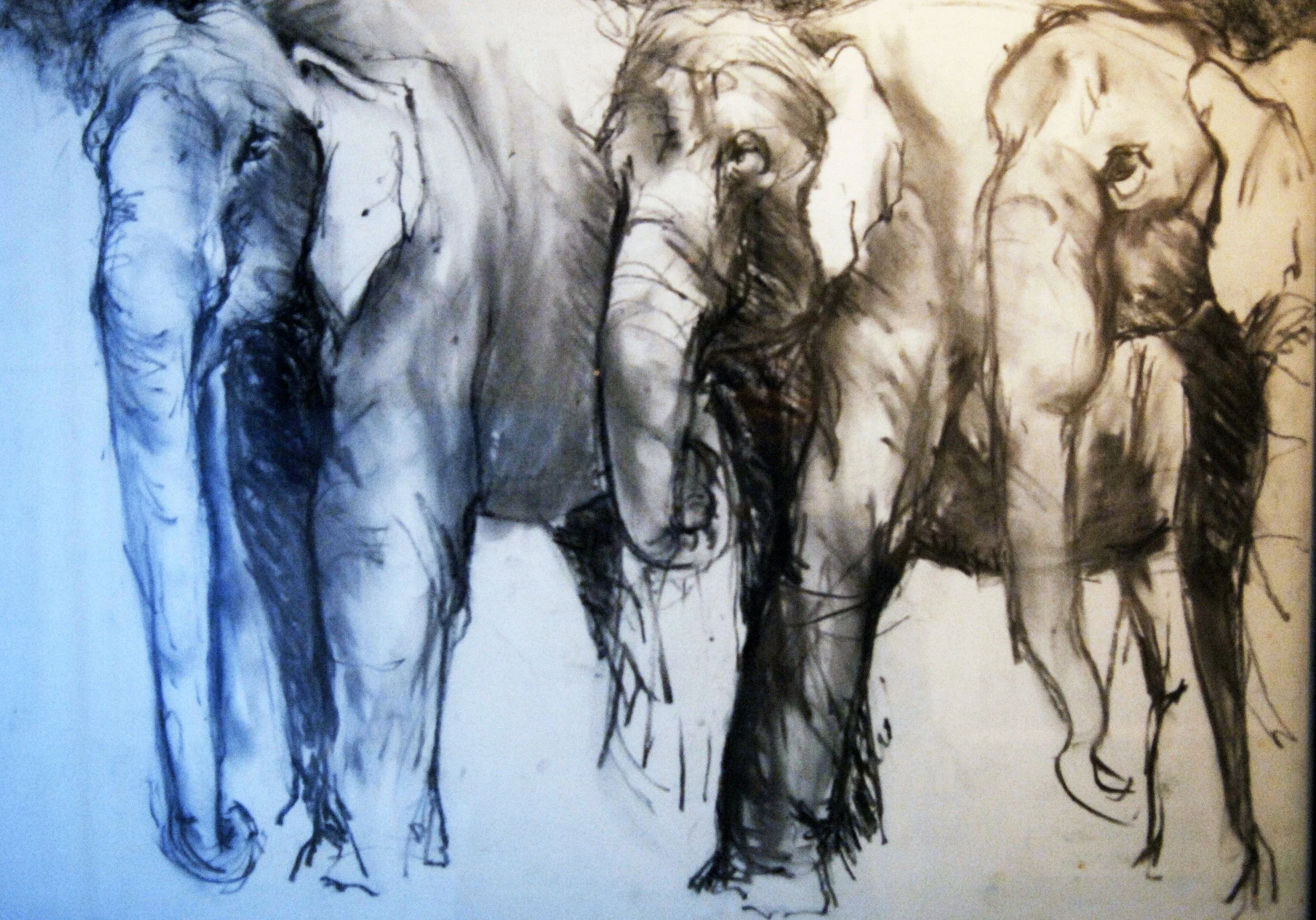  TOPIC  : Elephant

 

 PAINTING  : Elephants On Parade (Series Of Five Drawings) #1

 

 MEDIA  : Charcoal

 

 SIZE  : To Come

 

 PRICE  : $1,800
