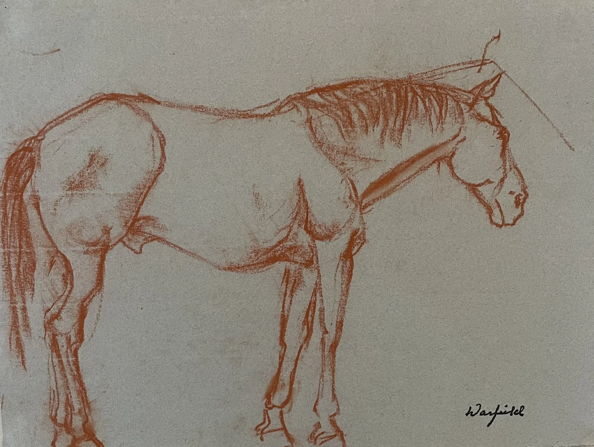  TOPIC  : Horse

 

 PAINTING  : Horse Study #6

 

 MEDIA  : Conte Crayon

 

 SIZE  : 9.5 X 12.5

 

 PRICE  : $600