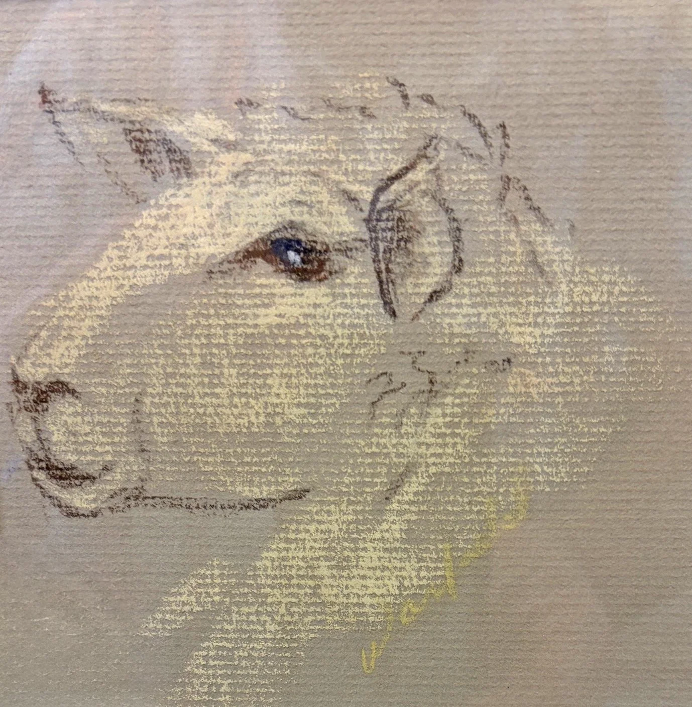  TOPIC  : Lamb

 

 PAINTING  : Lamb-Baby

 

 MEDIA  : Pastel

 

 SIZE  : 5 X5"

 

 PRICE  : $150