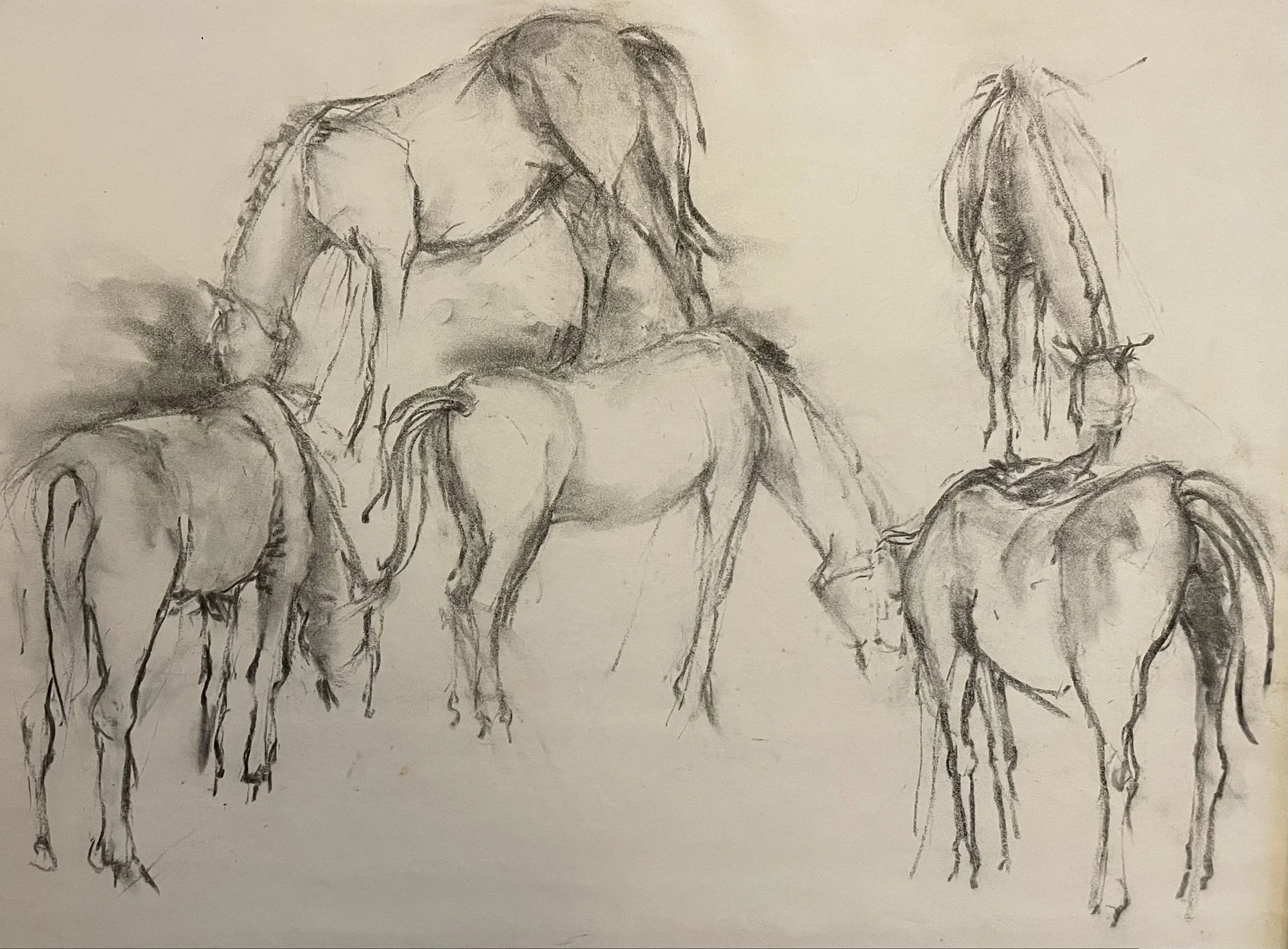  TOPIC  : Horse

 

 PAINTING  : Horse Study #8

 

 MEDIA  : Charcoal

 

 SIZE  : 17 X 23 

 

 PRICE  : $450