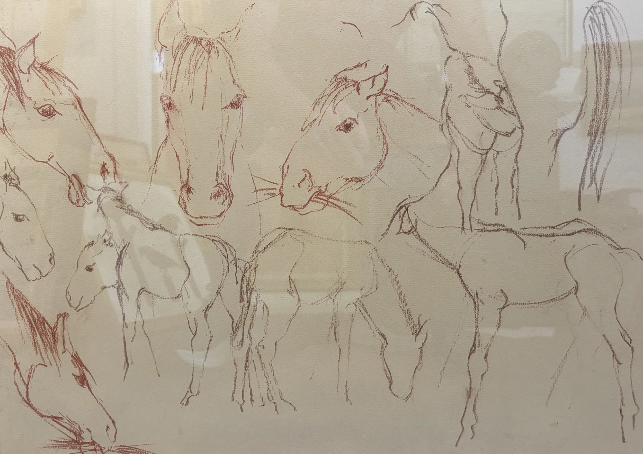  TOPIC  : Horse

 

 PAINTING  : Horse Study #10
 

 MEDIA  : Conte Crayon

 

 SIZE  : 16 X 22"

 

 PRICE  : $375
