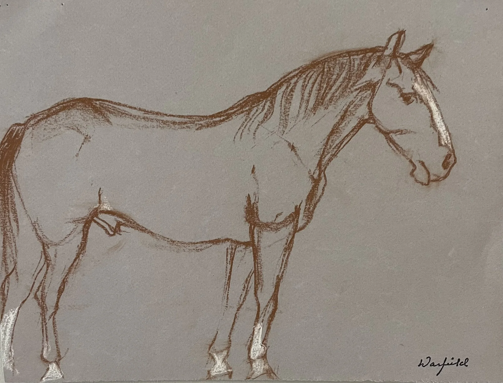  TOPIC  : Horse

 

 PAINTING  : Horse Study #7

 

 MEDIA  : Pastel

 

 SIZE  : 9 X 12

 

 PRICE  : $450