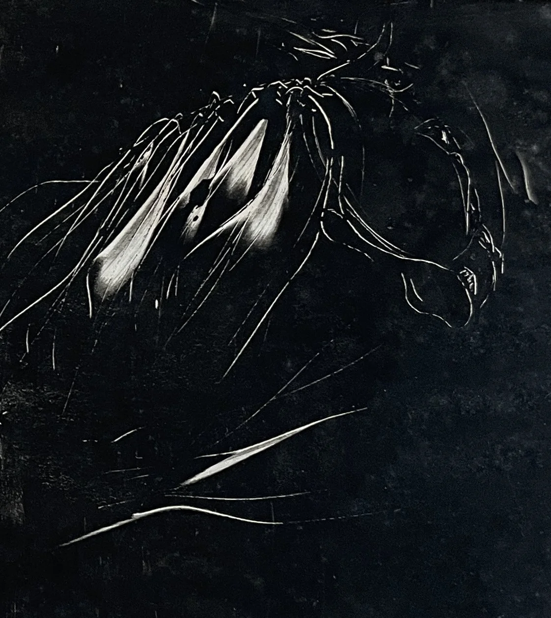  TOPIC  : Horse

 

 PAINTING  : Turning Horse
 

 MEDIA  : Monoprint

 

 SIZE  :  8 X 7

 

 PRICE  : $175