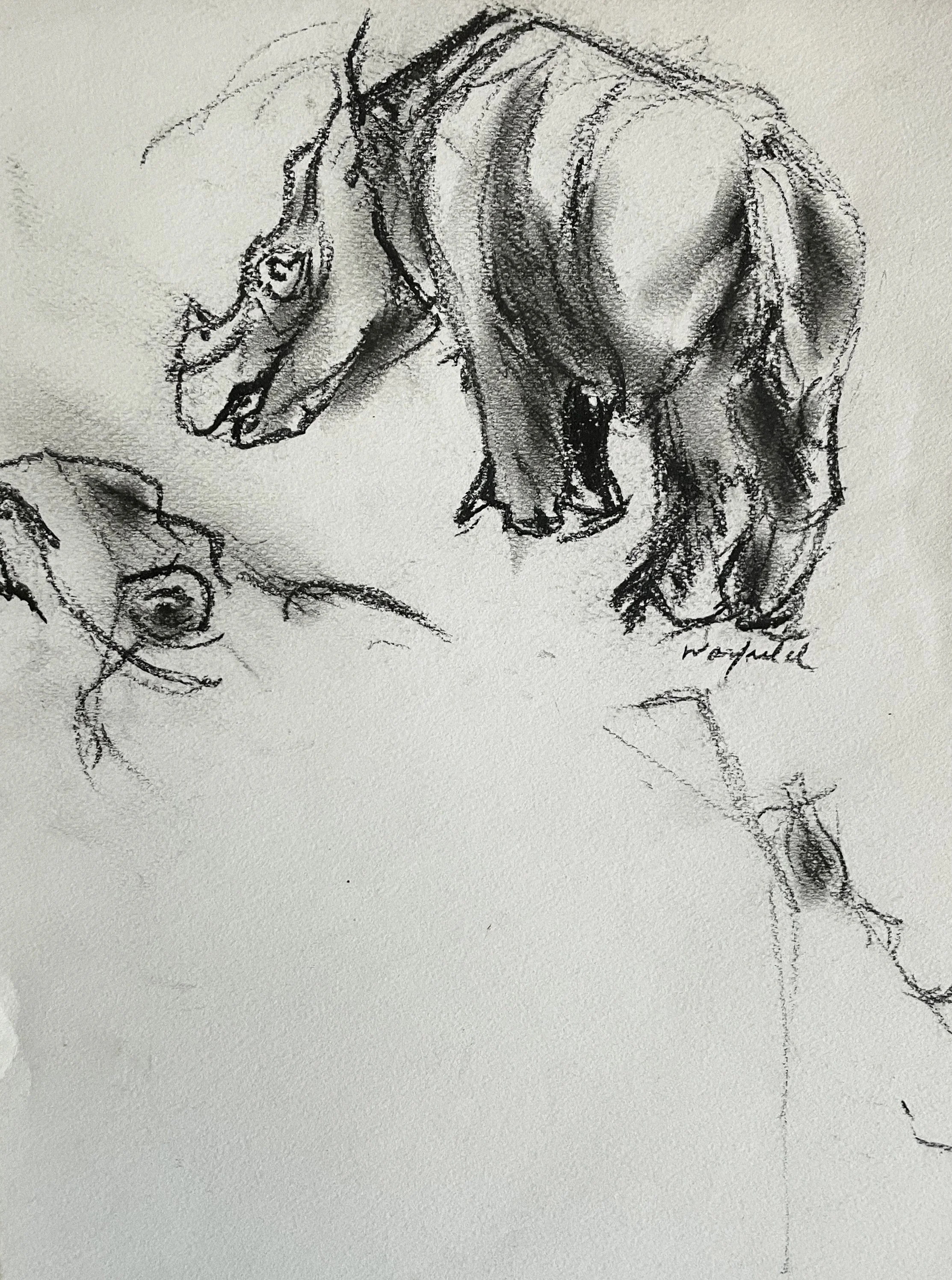  TOPIC  : Rhinocerus

 

 PAINTING  : Rhinocerus Study #2

 

 MEDIA  :  Charcoal

 

 SIZE  :  12 X 9"

 

 PRICE  : $500