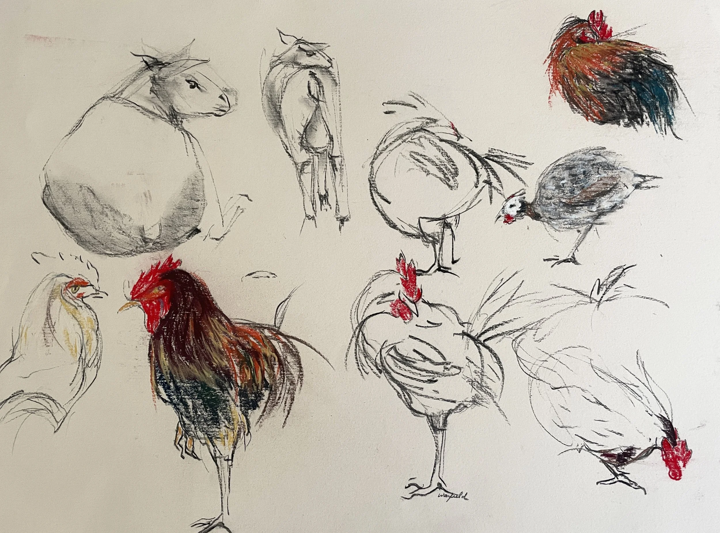  TOPIC  : Roosters

 

 PAINTING  : Roosters And Goats 
Study #2

 

 MEDIA  :  Charcoal-Pastel

 

 SIZE  :  22 X 30

 

 PRICE  : $500
