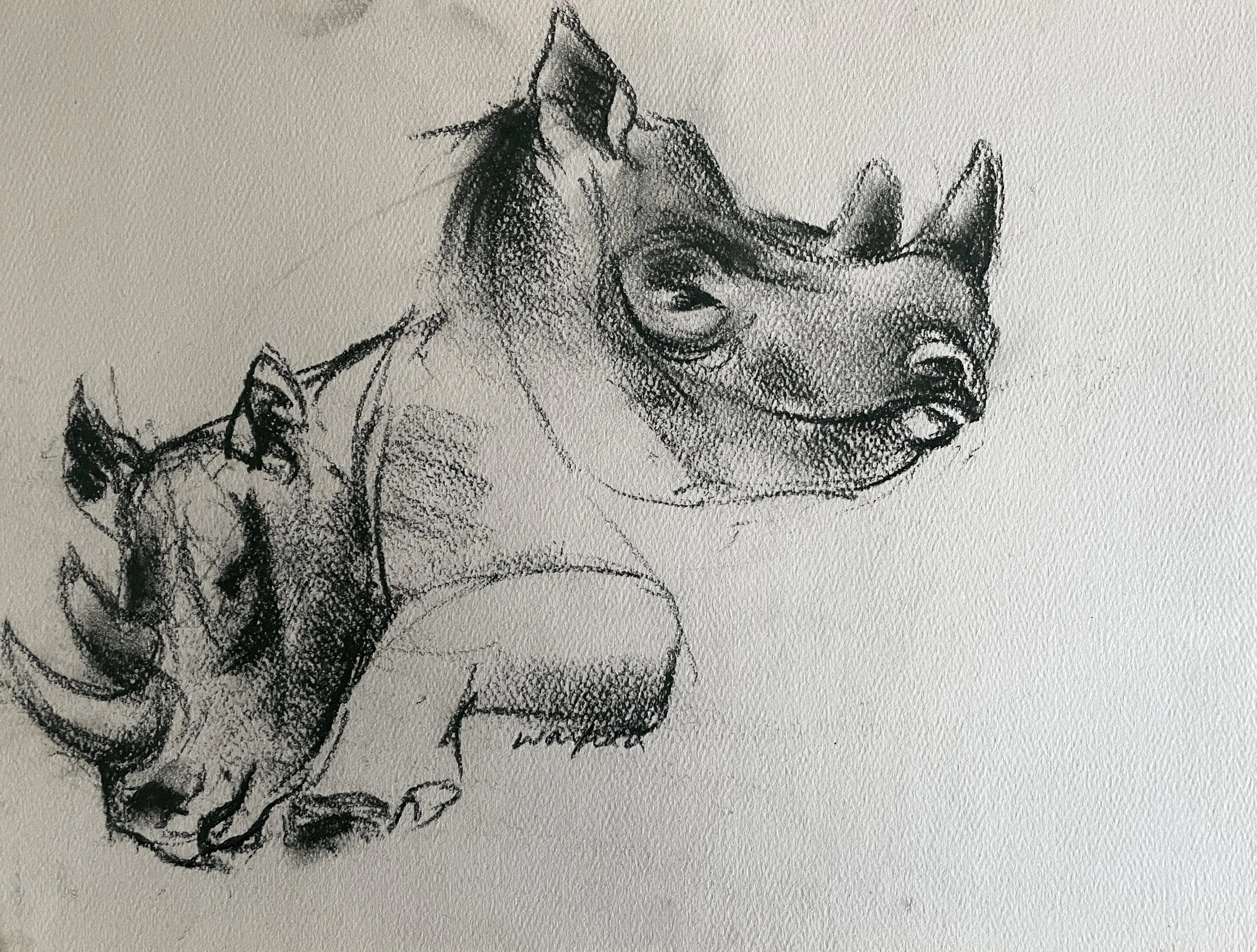  TOPIC  : Rhinocerus

 

 PAINTING  : Rhinocerus Study #1

 

 MEDIA  :  Charcoal

 

 SIZE  :  9 X 12

 

 PRICE  : $500
