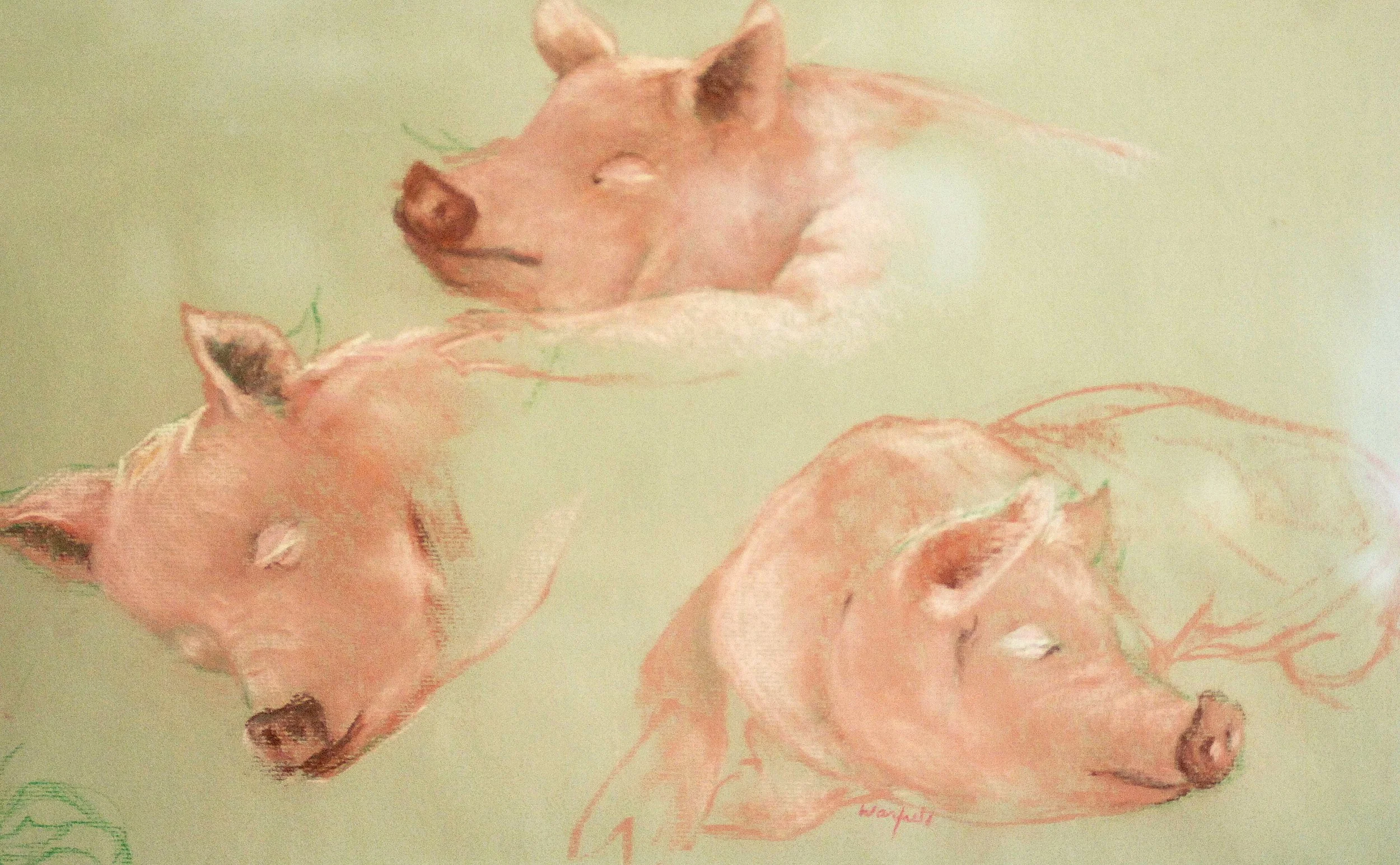  TOPIC  : Pigs

 

 PAINTING  : Pigs Sleeping

 

 MEDIA  : Pastel

 

 SIZE  : 12 X 18"

 

 PRICE  : PRIVATE COLLECTION