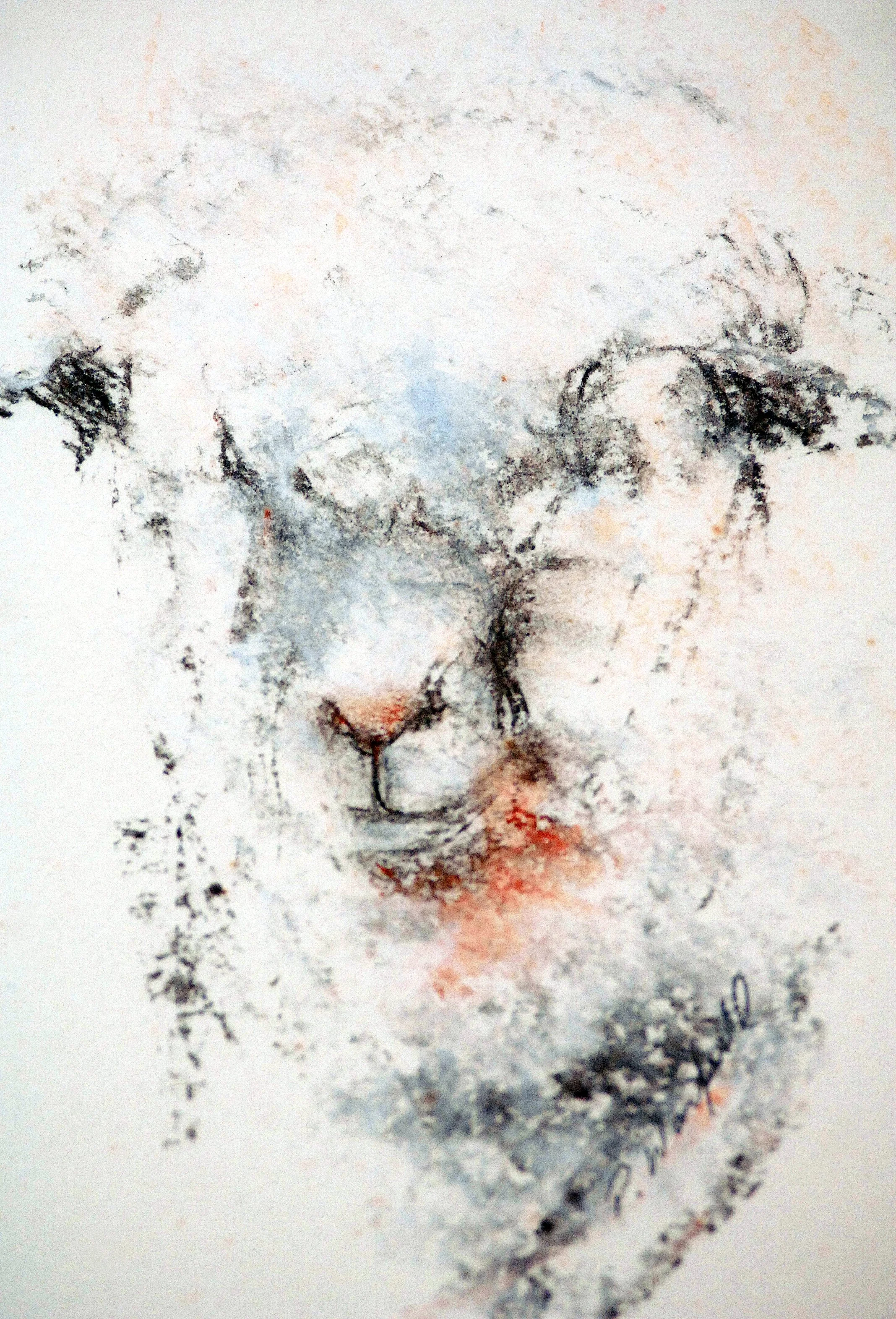  TOPIC  : Lamb

 

 PAINTING  : Lamb- Spring Lamb

 

 MEDIA  : Pastel

 

 SIZE  : 10" X 8"

 

 PRICE  : $350