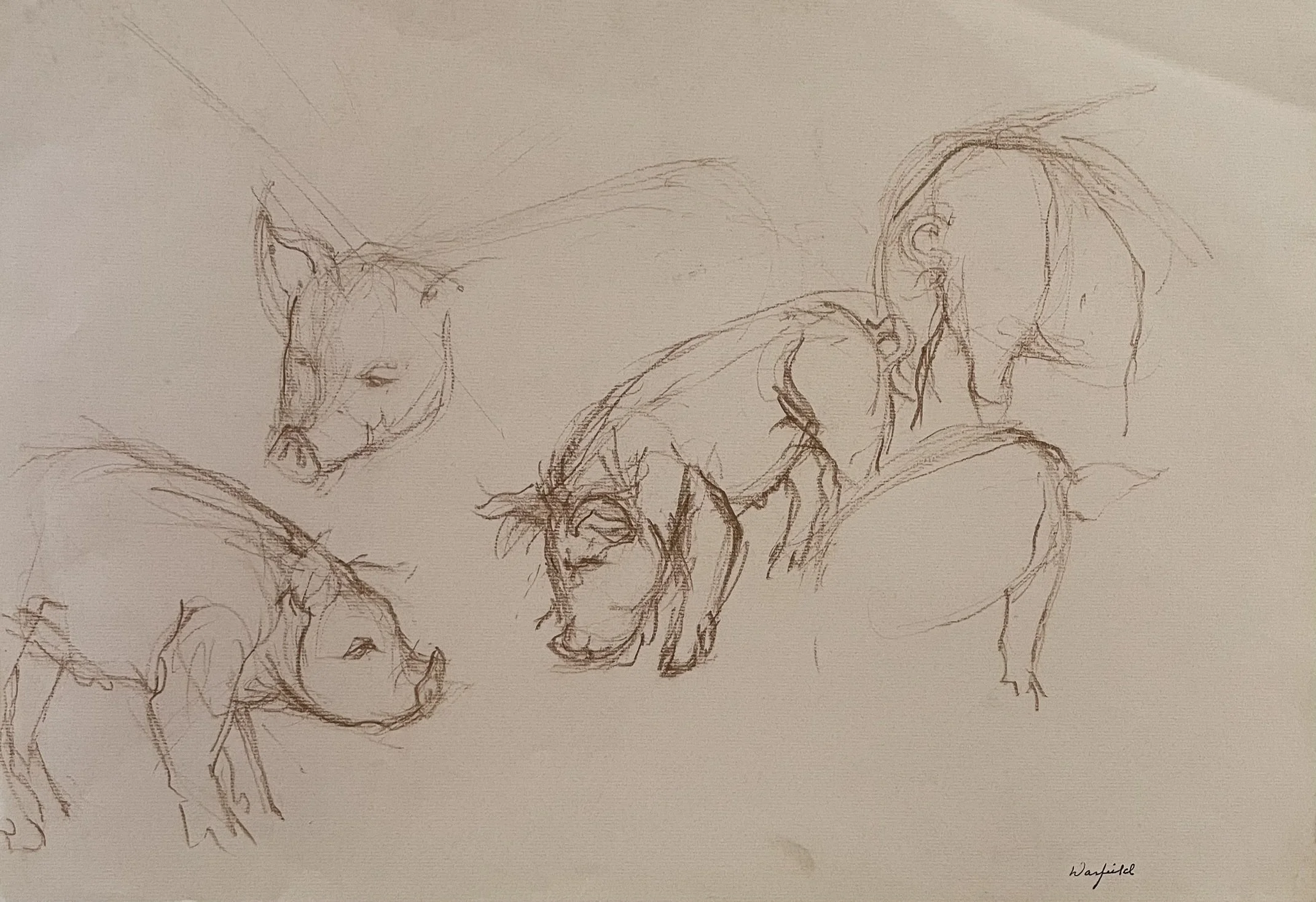 TOPIC  : Pigs

 

 PAINTING  : Pigs Study #1

 

 MEDIA  : Charcoal/Crayon

 

 SIZE  :  17 X 23 

 

 PRICE  : $ 350