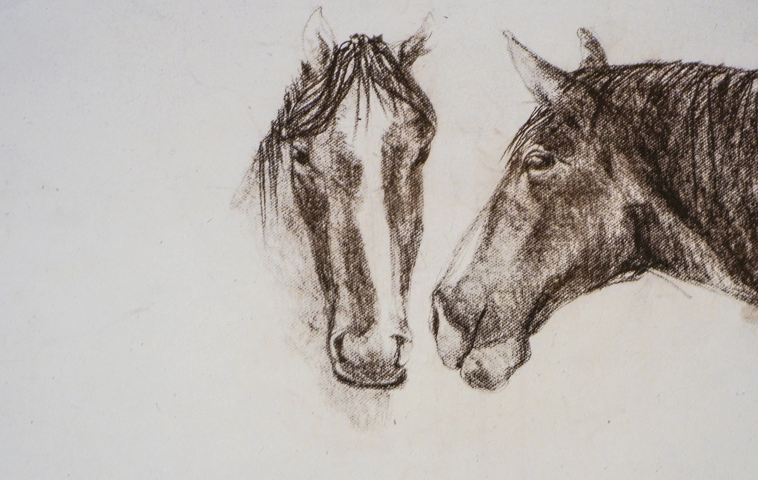  TOPIC  : Horse

 

 PAINTING  : Two Horse Heads
 

 MEDIA  : Pastel

 

 SIZE  : 10 X 16"

 

 PRICE  :  PRIVATE COLLECTION