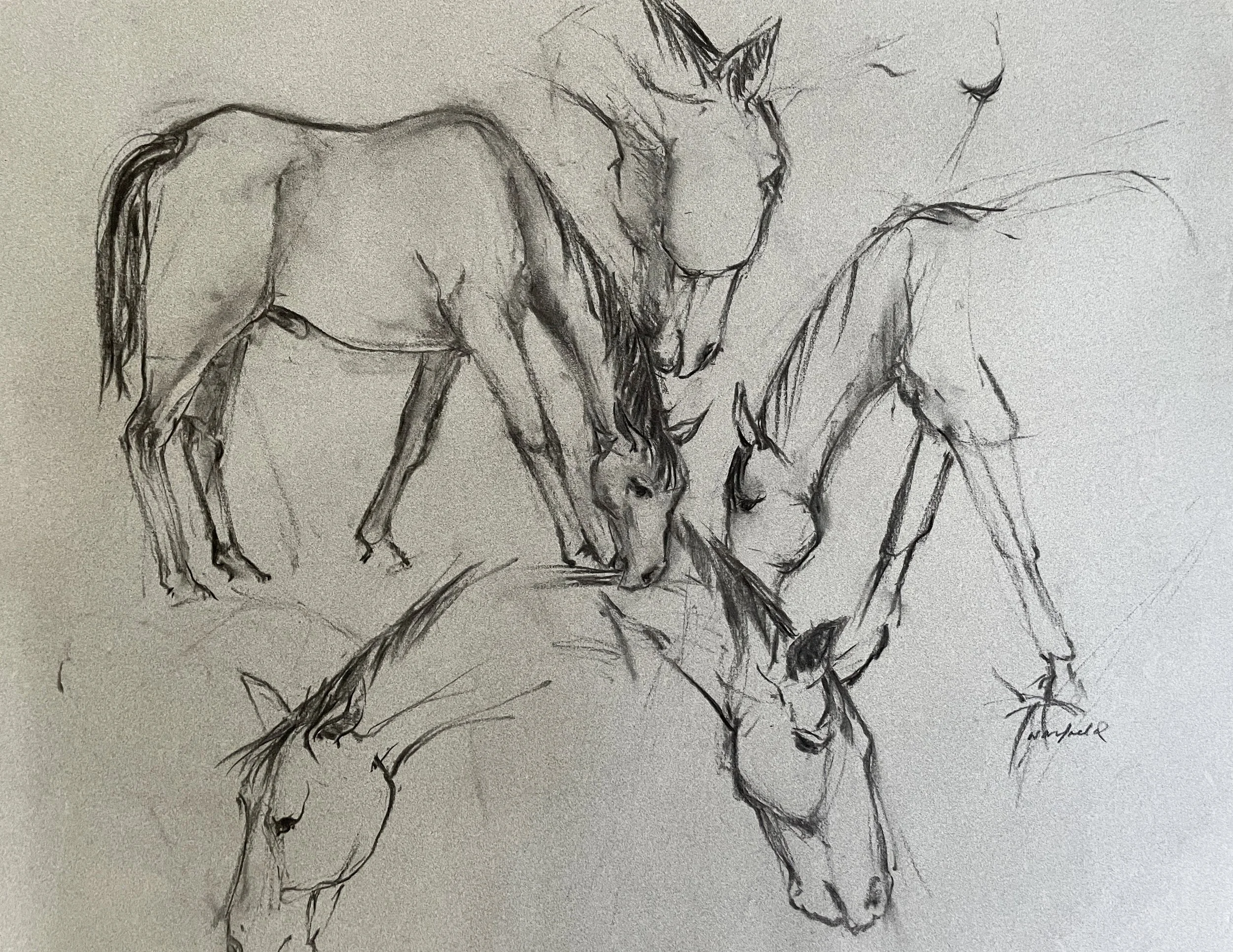  TOPIC  : Horse

 

 PAINTING  : Grazing Horses
 

 MEDIA  : Charcoal

 

 SIZE  : 19 X 26"

 

 PRICE  : $375