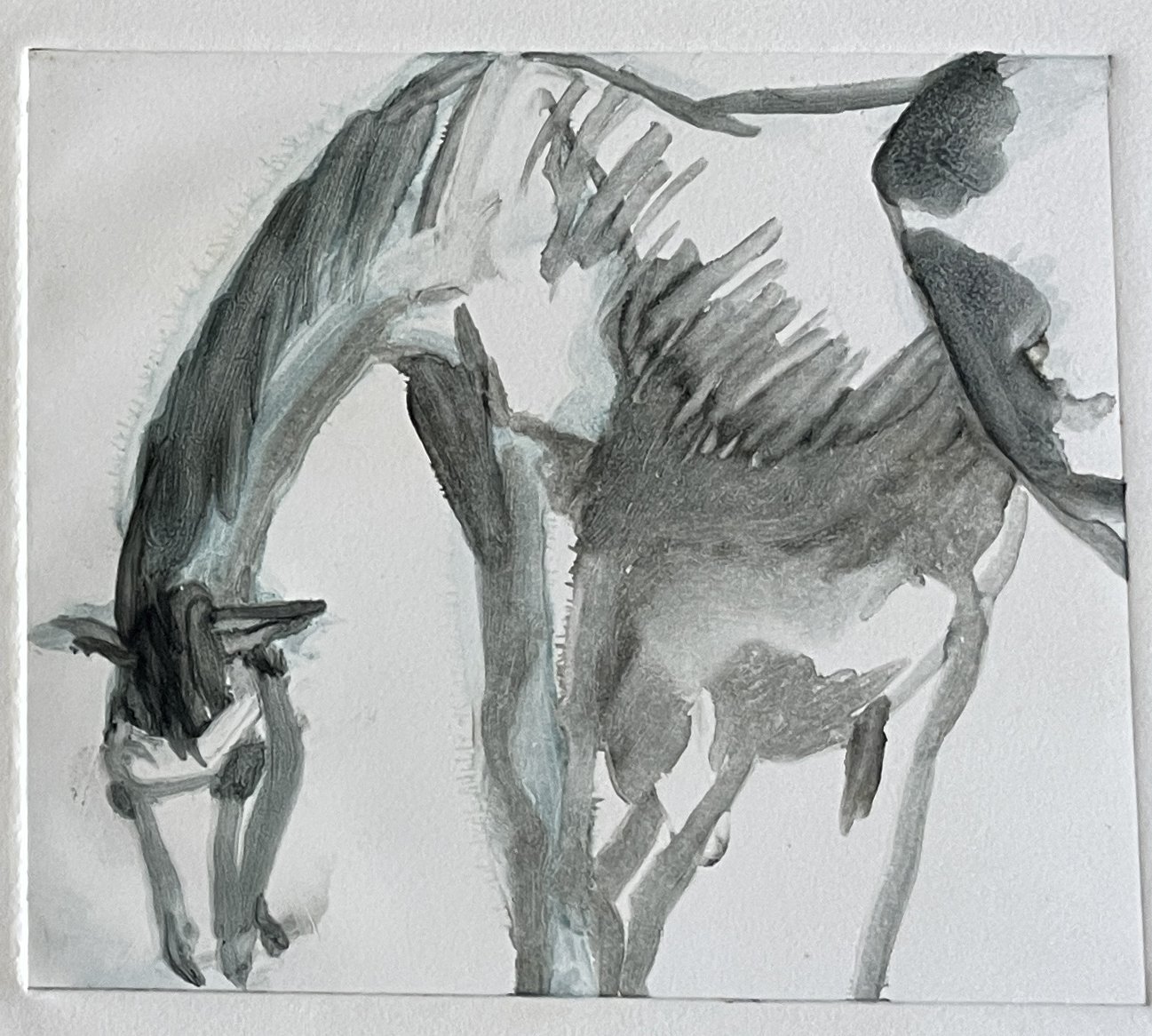  TOPIC  : Horse

 

 PAINTING  : Horse Grazing #2

 

 MEDIA  : Monoprint

 

 SIZE  : 8 X 7
 

 PRICE  : $175