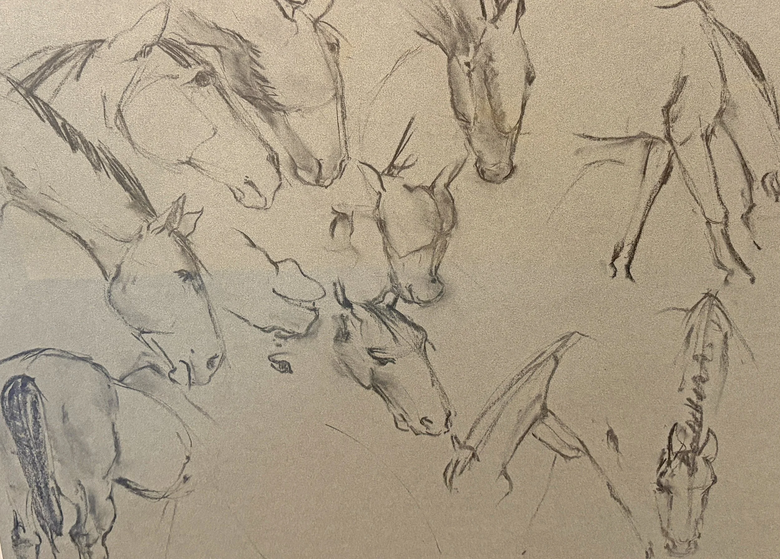  TOPIC  : Horse

 

 PAINTING  : Horse Study #9

 

 MEDIA  : Charcoal