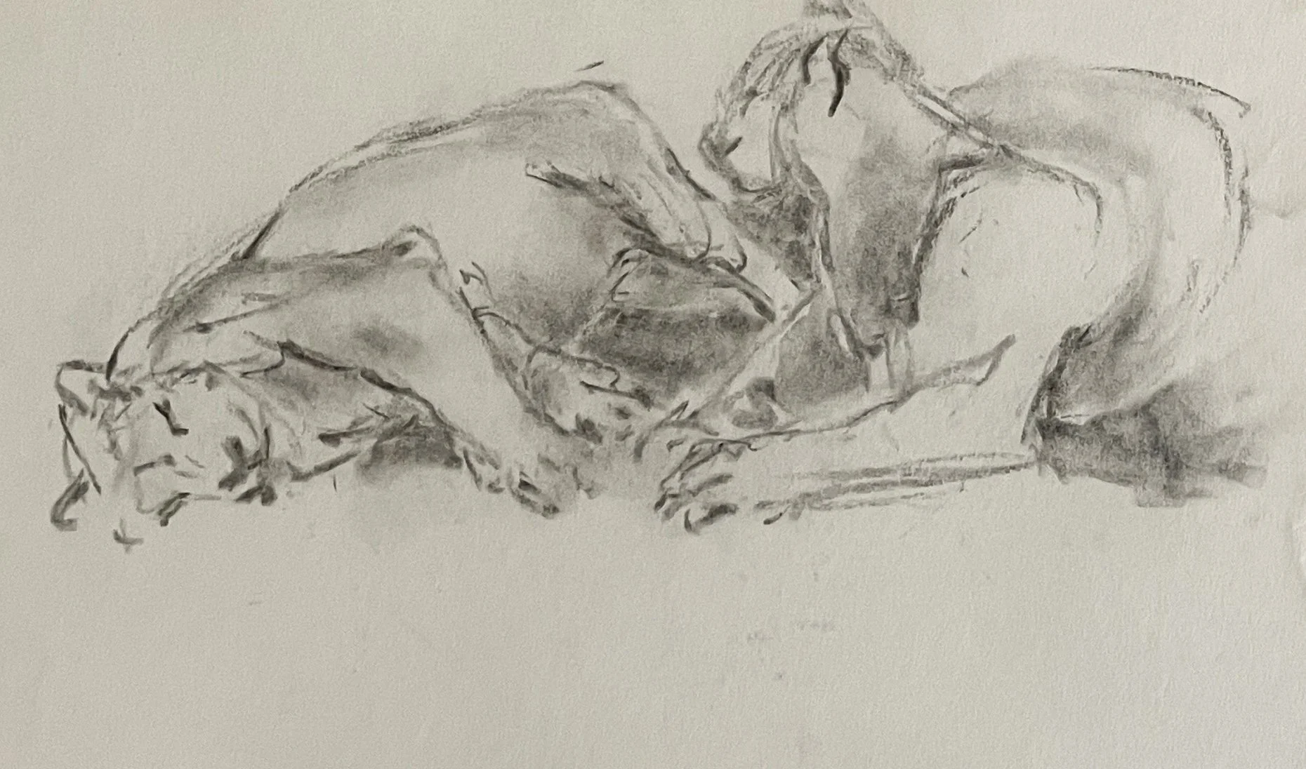  TOPIC  : Lion

 

 PAINTING  : Lion Study

 

 MEDIA  : Charcoal