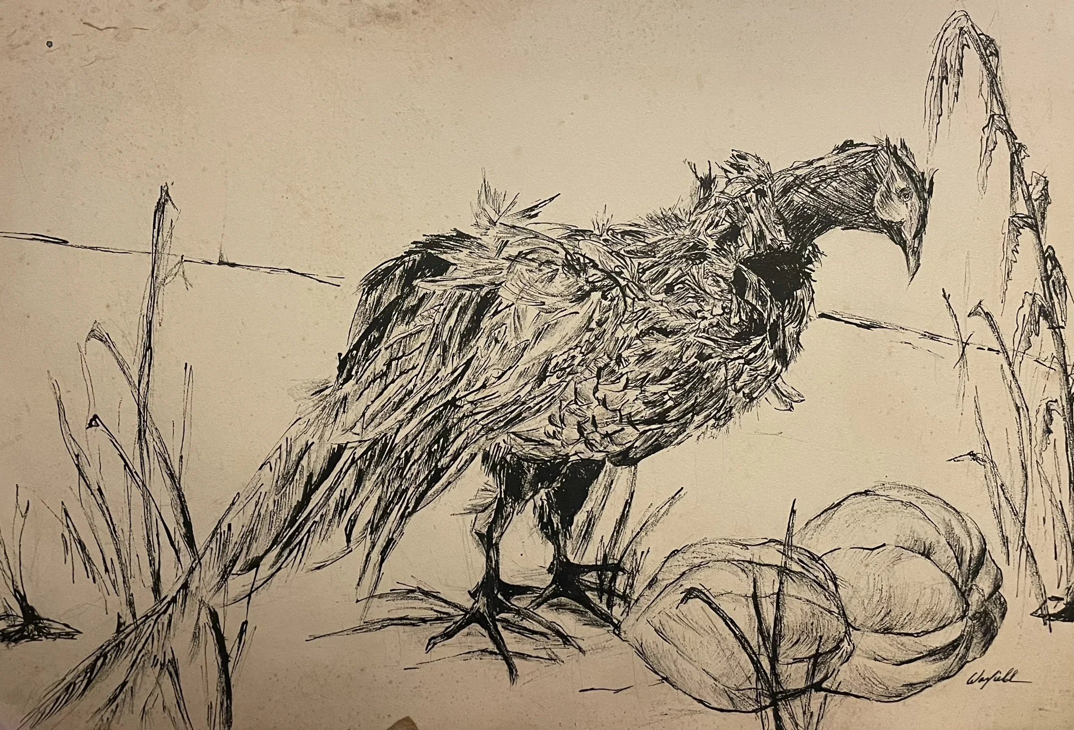  TOPIC  : Peacock

 

 PAINTING  : Peacock

 

 MEDIA  : Charcoal/Ink

 

 SIZE  : 18 X 28

 

 PRICE  : $600
